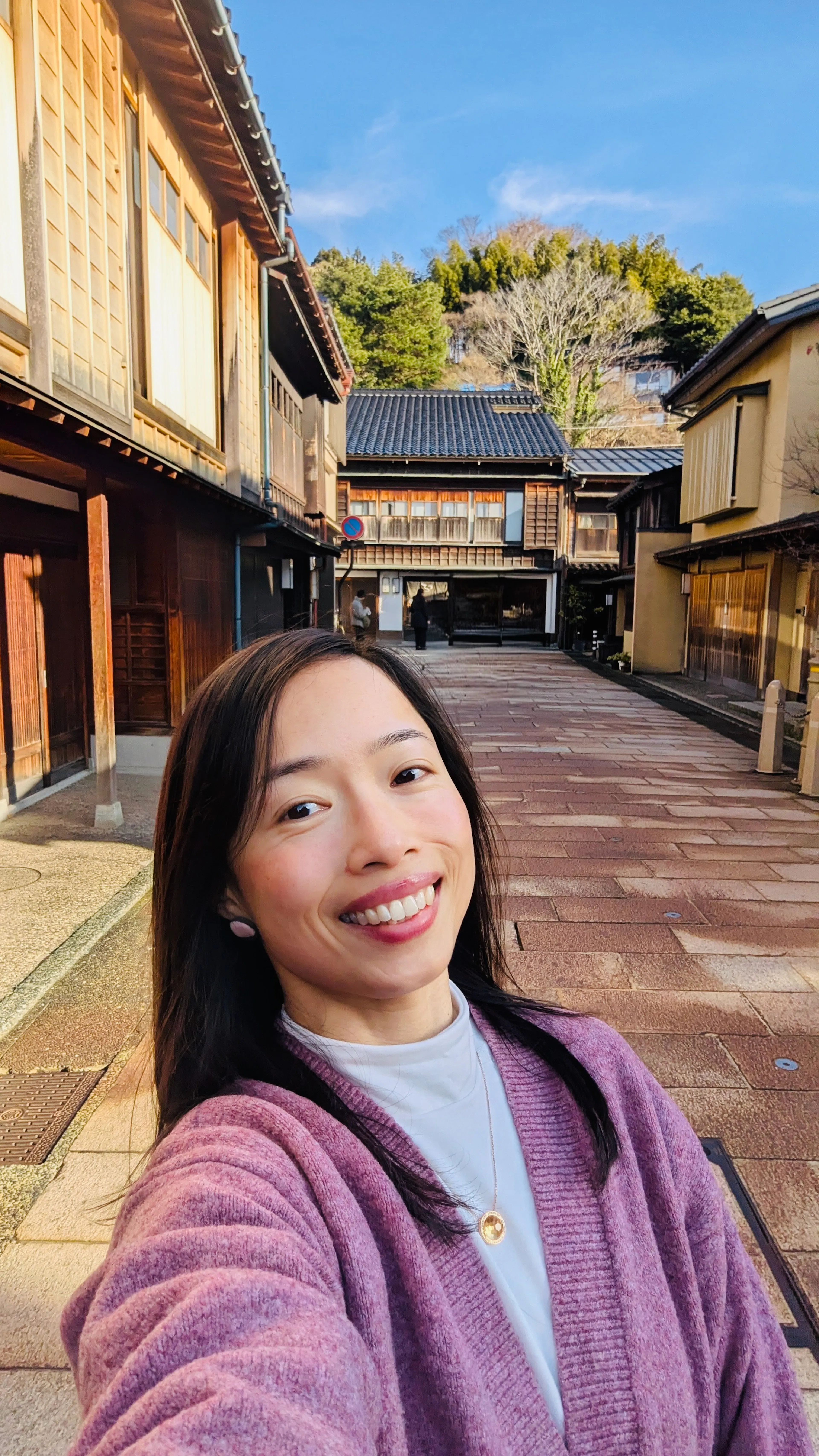 Higashi Chaya District