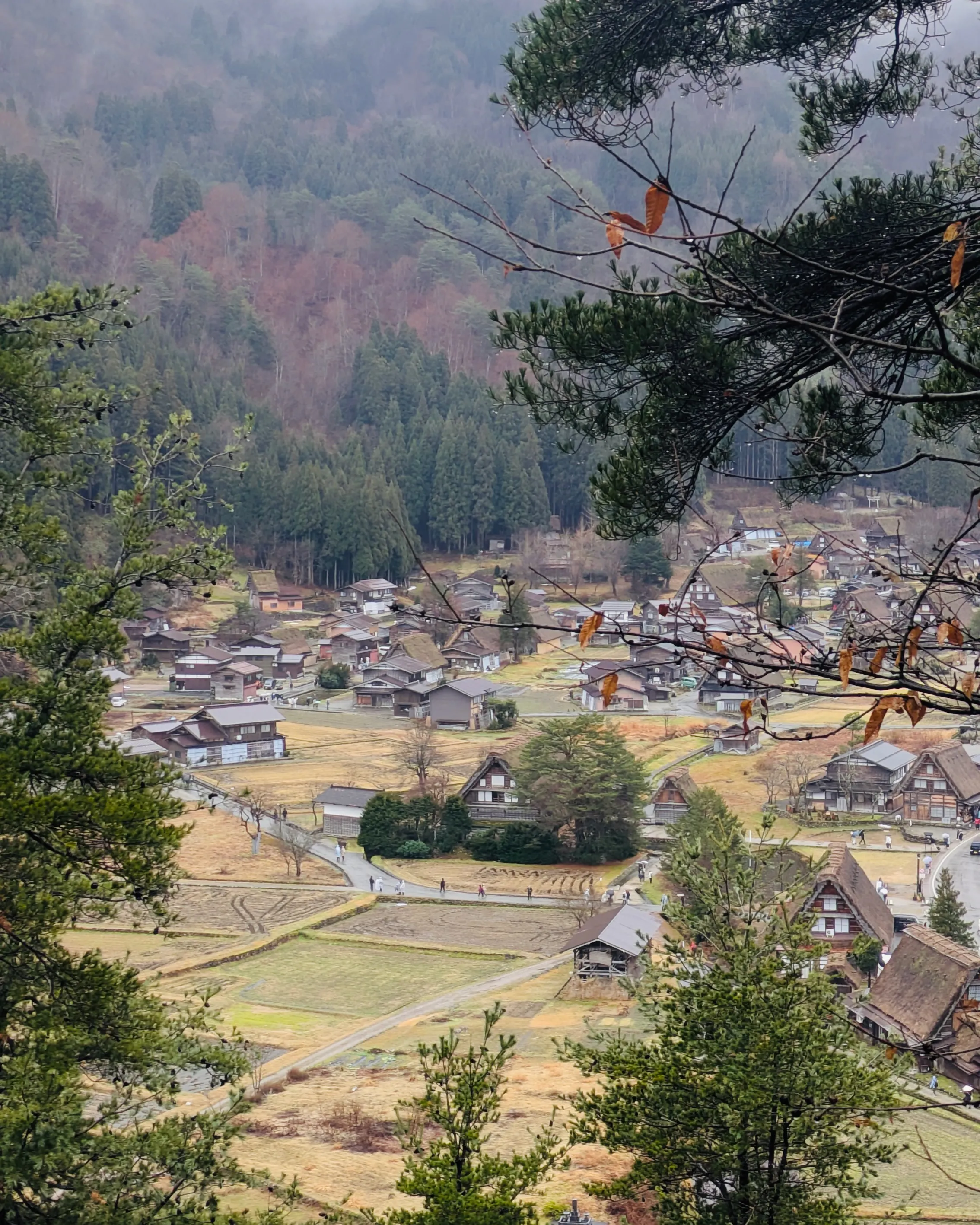 Shirakawa-go