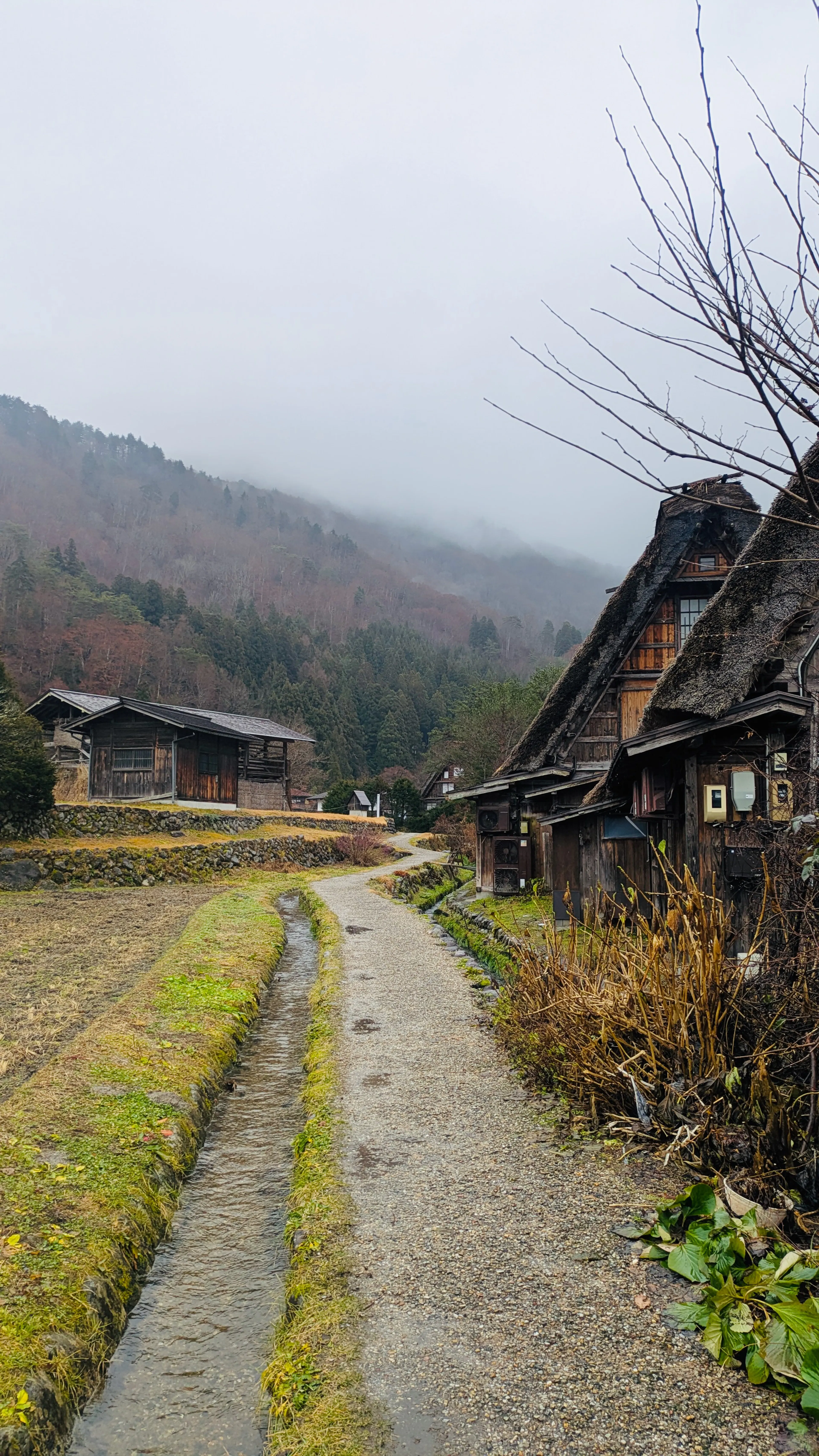 Misty mountains