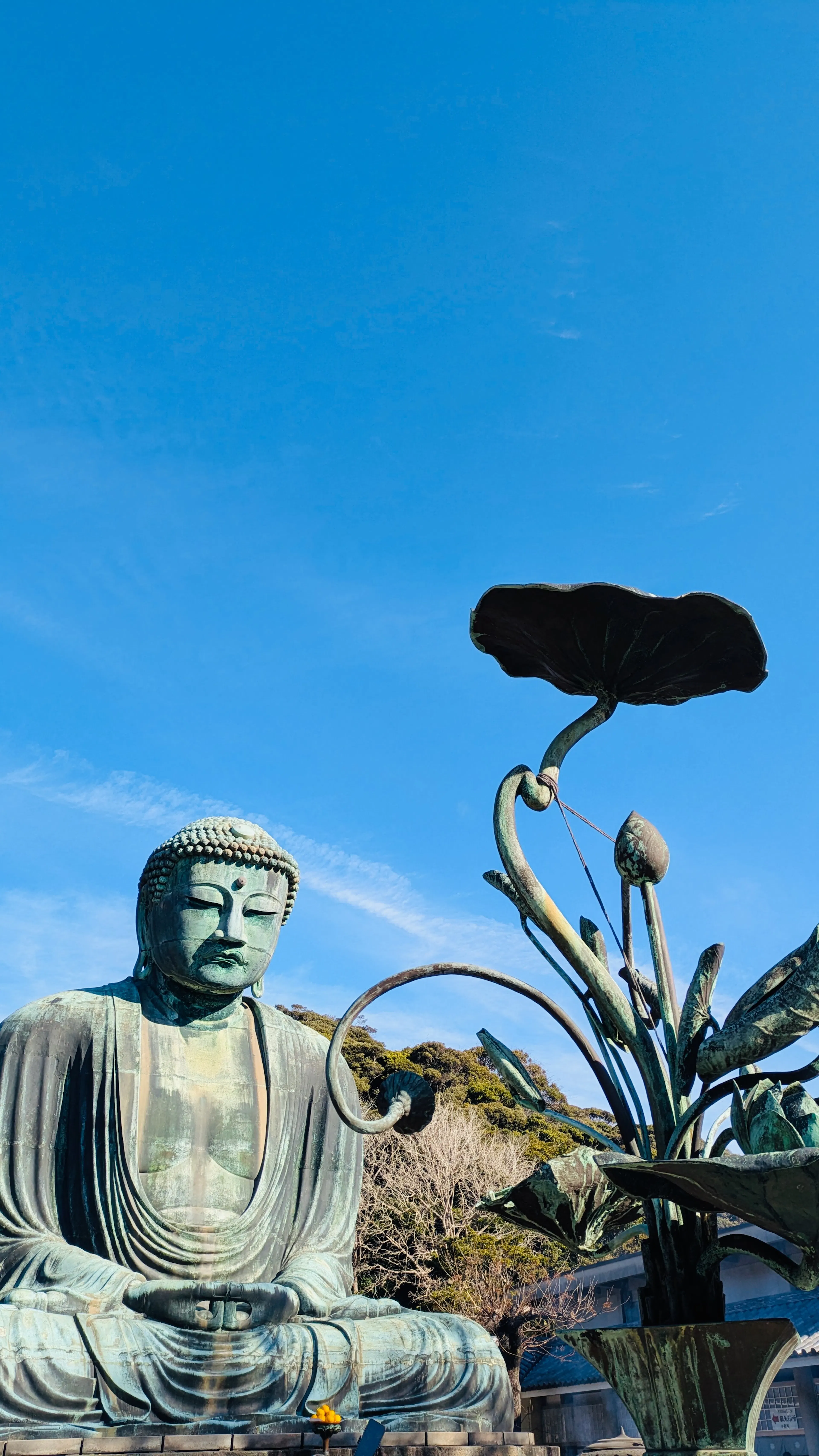 The Great Buddha at Kotoku-in
