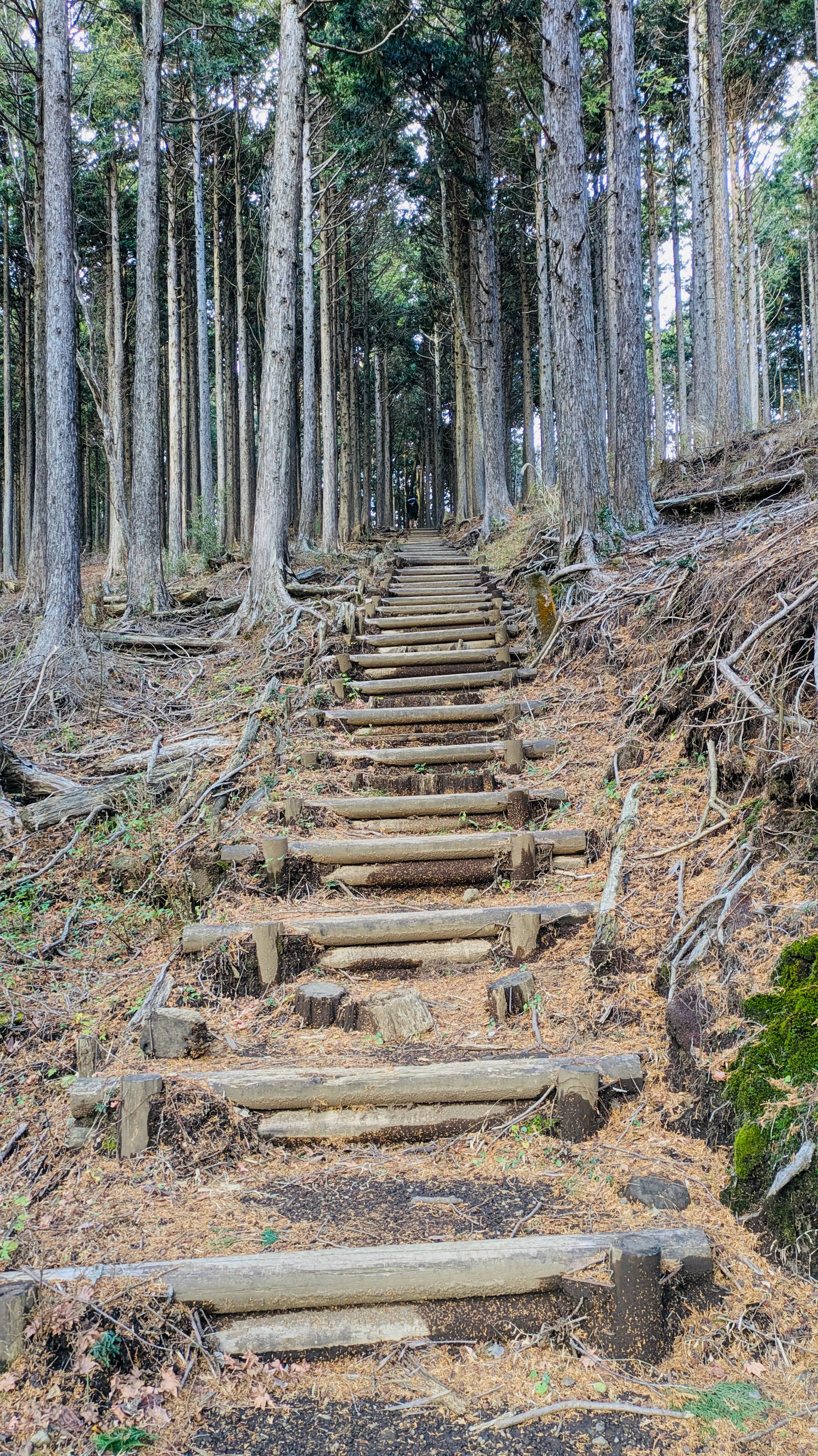 Spicy climb up Mt Byobu