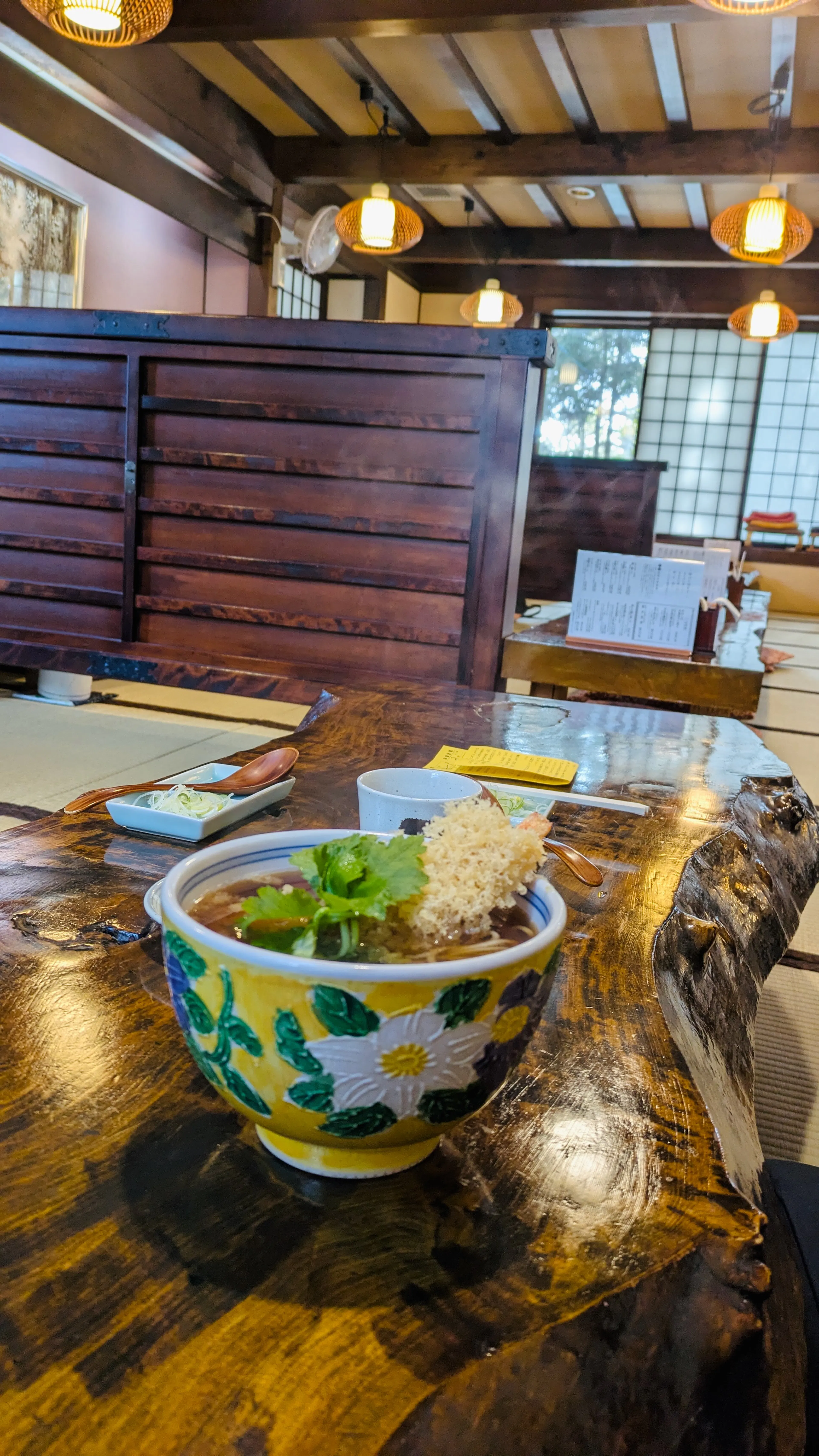 Soba noodles after a snowy hike