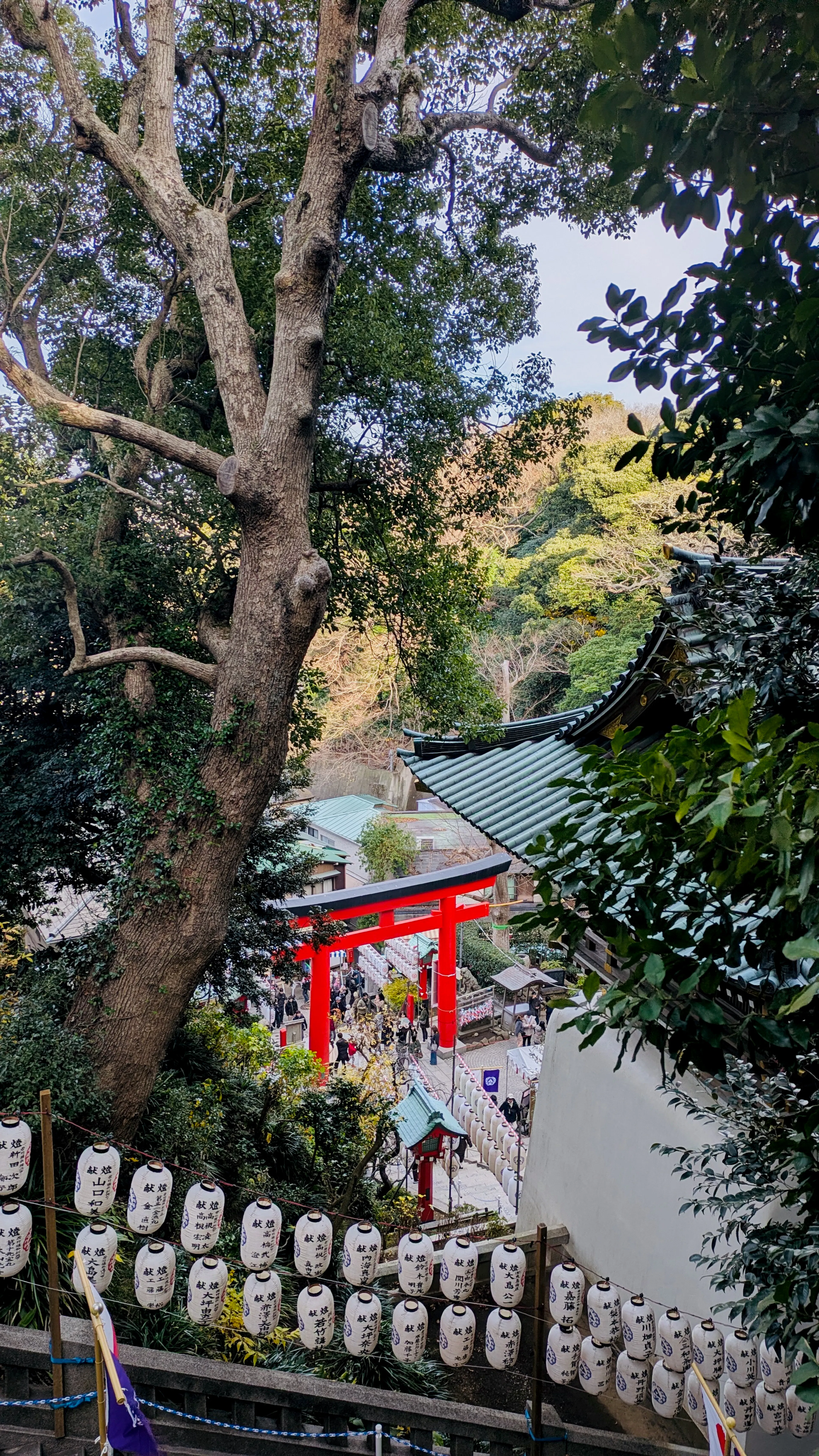 Enoshima Island