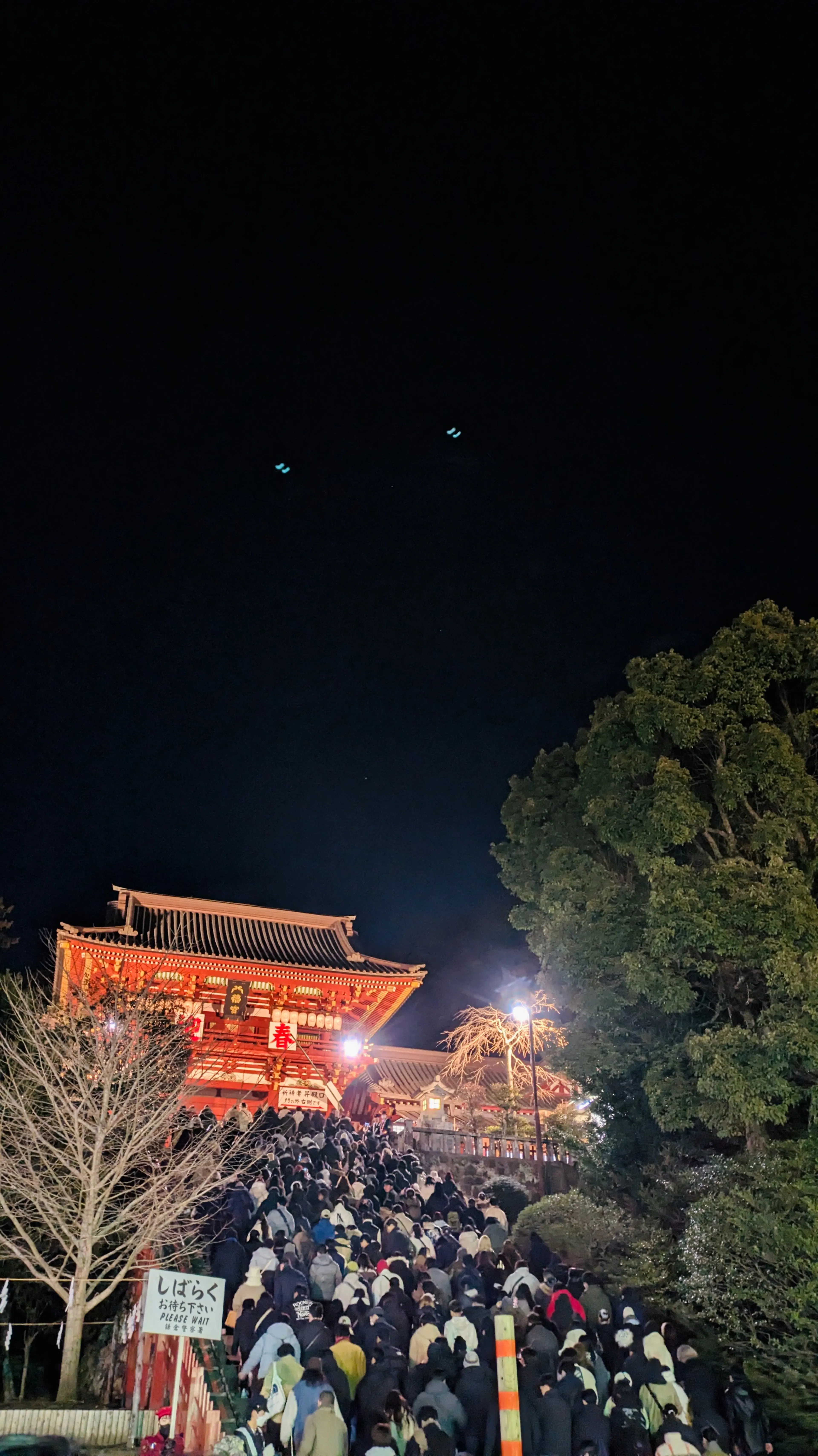 Hatsumode at Tsurugaoka Hachimangu