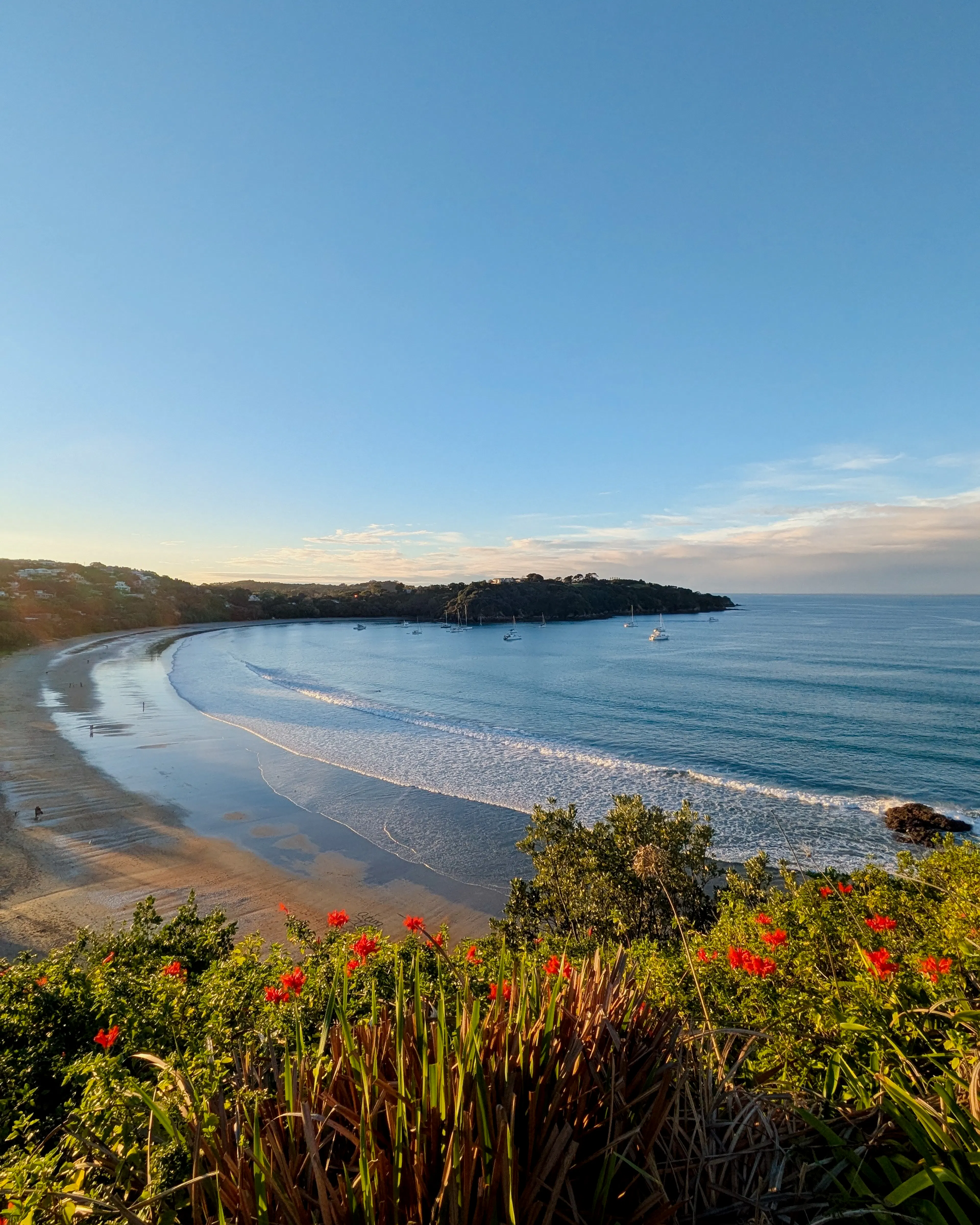 Sunset in Waiheke