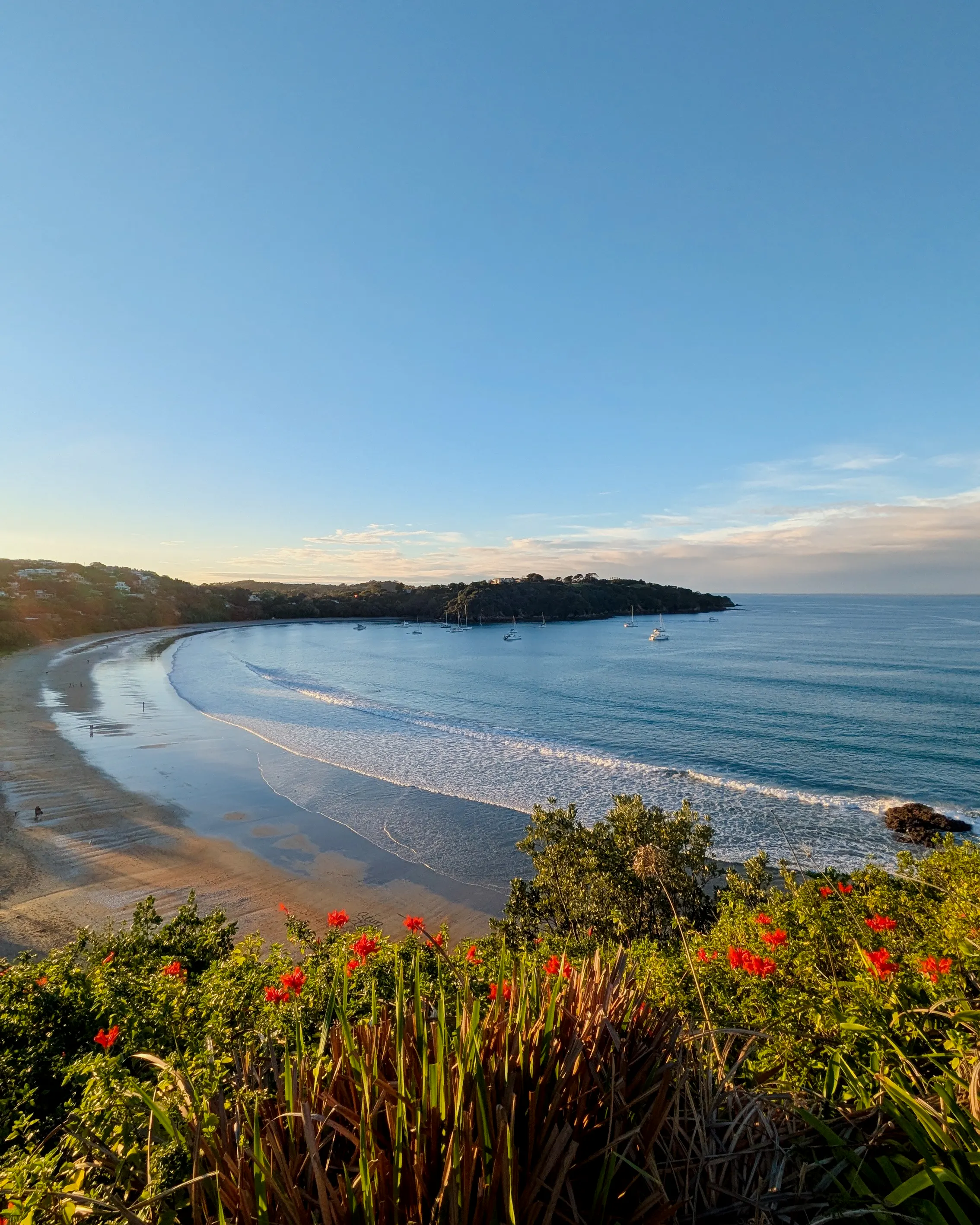 Sunset in Waiheke