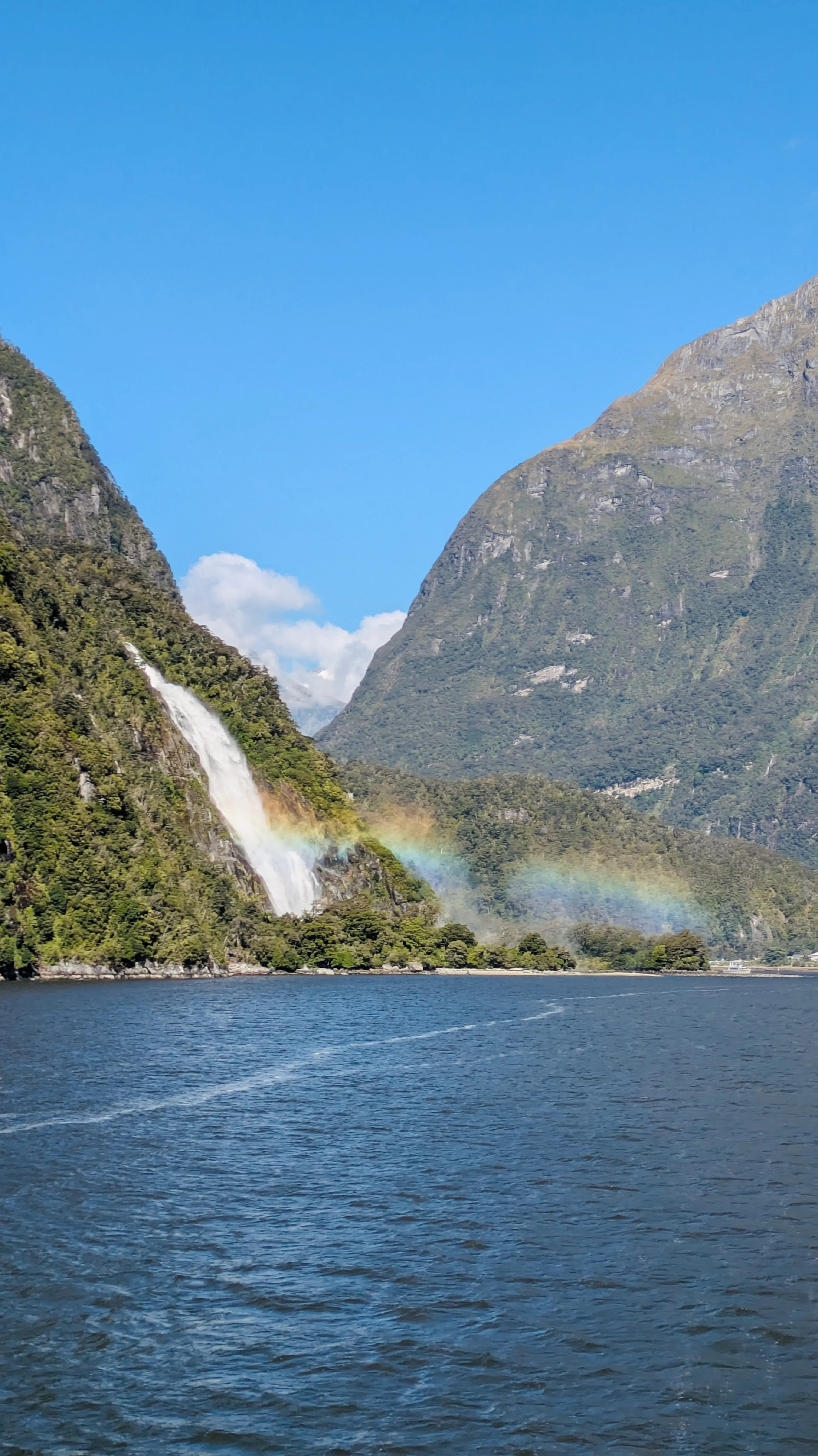 Magical Milford Sound