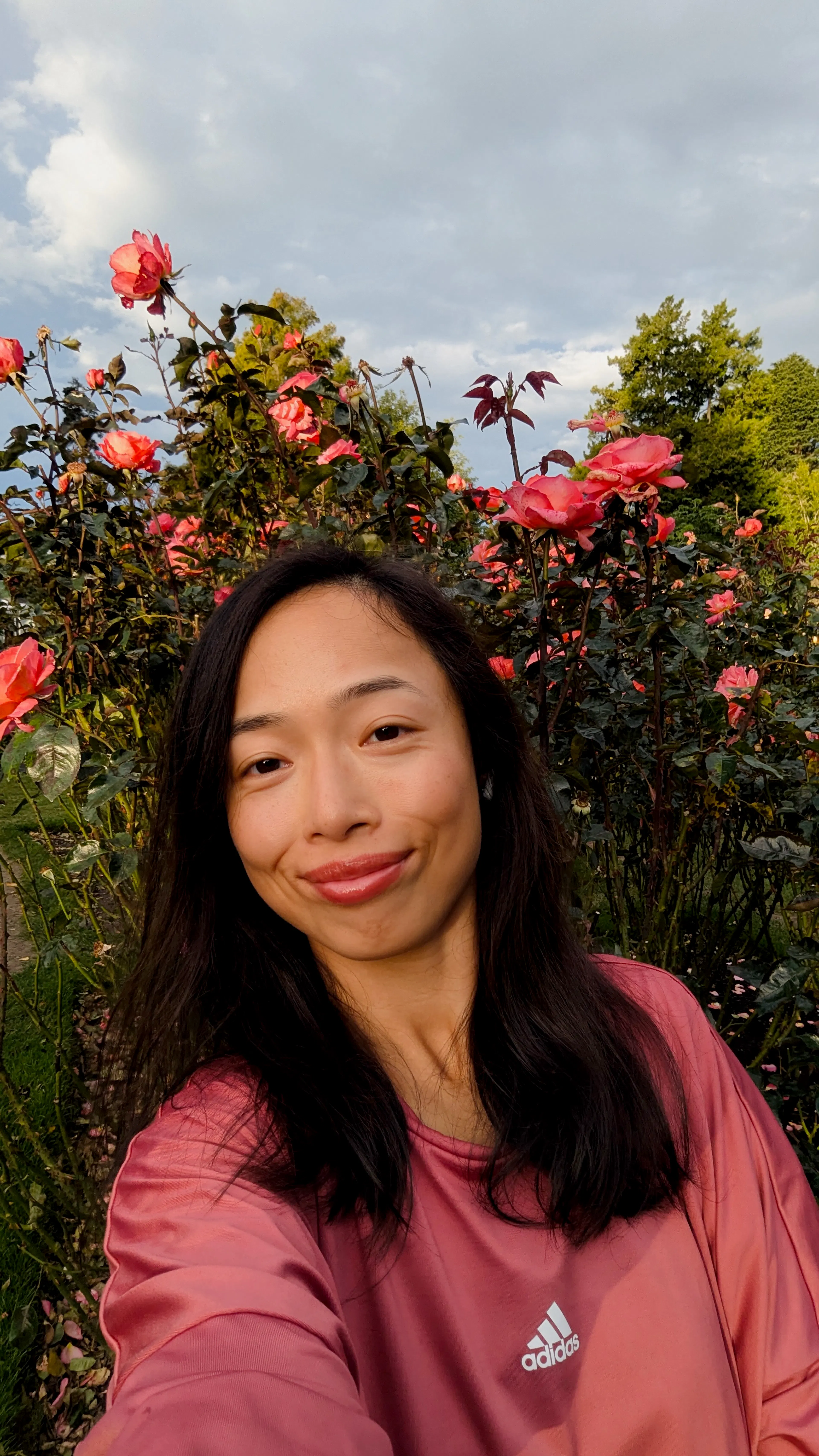 Roses at the Botanic Gardens