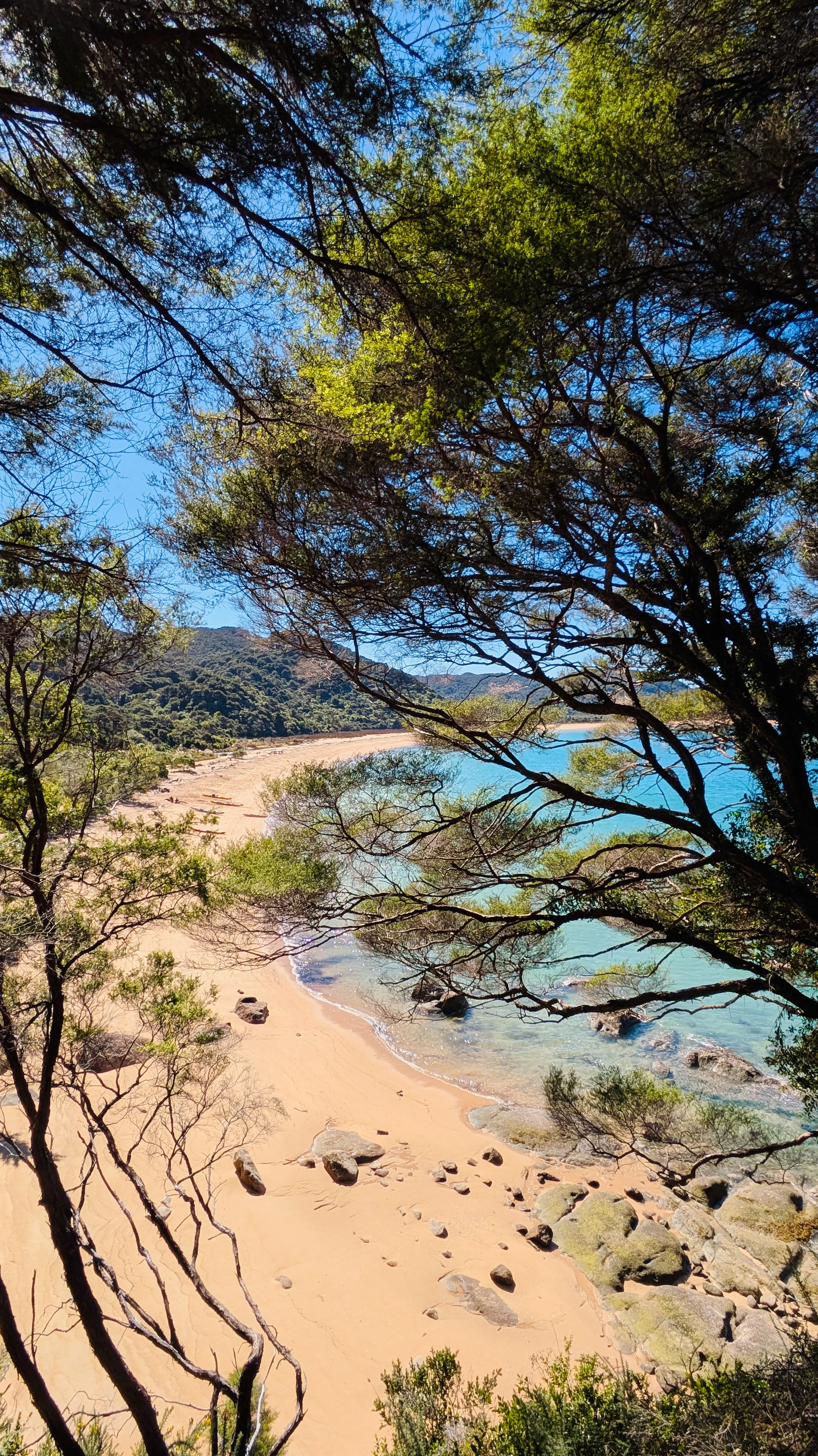 Loved seeing the golden sand and turquoise sea from above