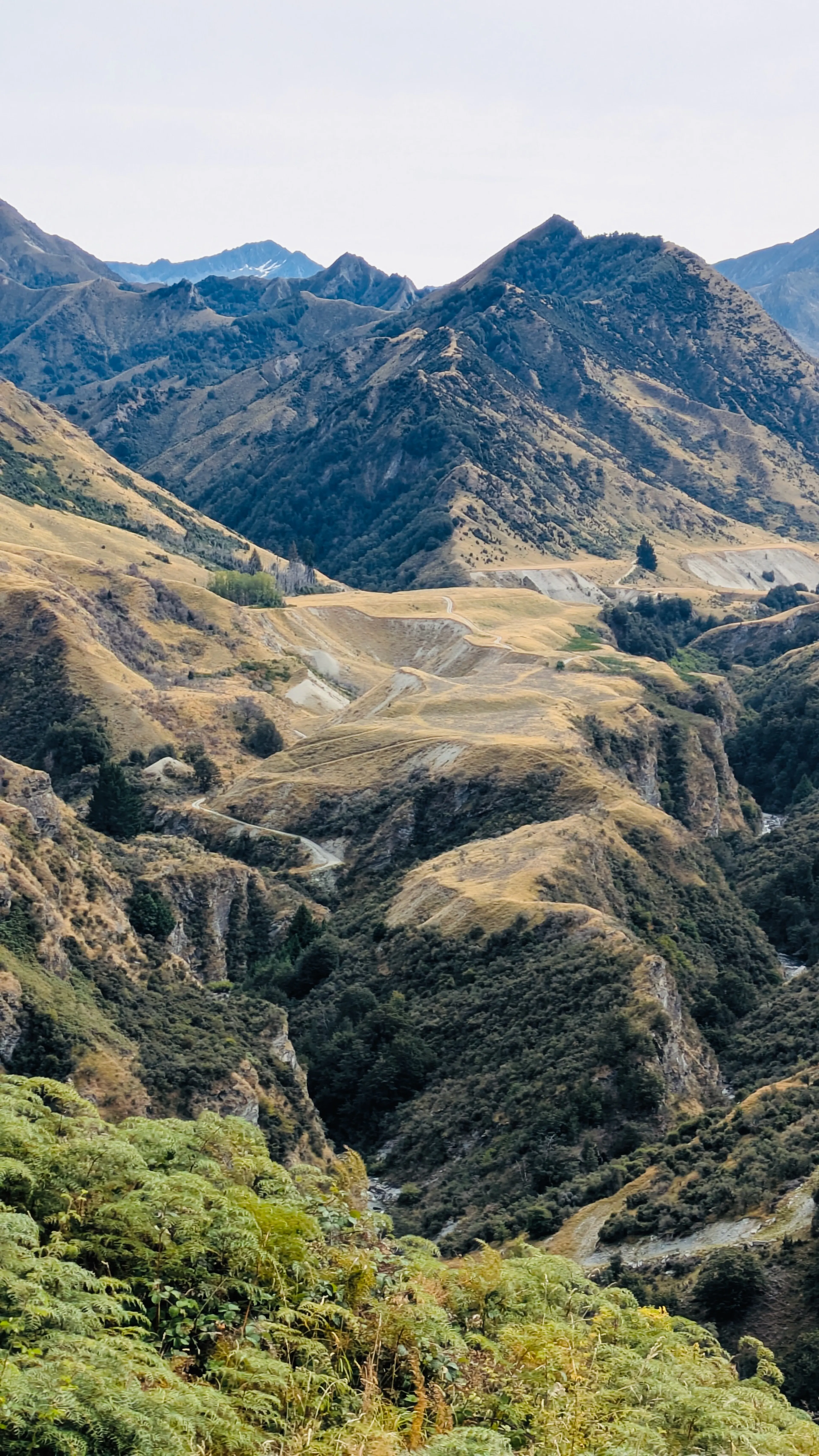 Gorgeous valley on the Moonlight Track