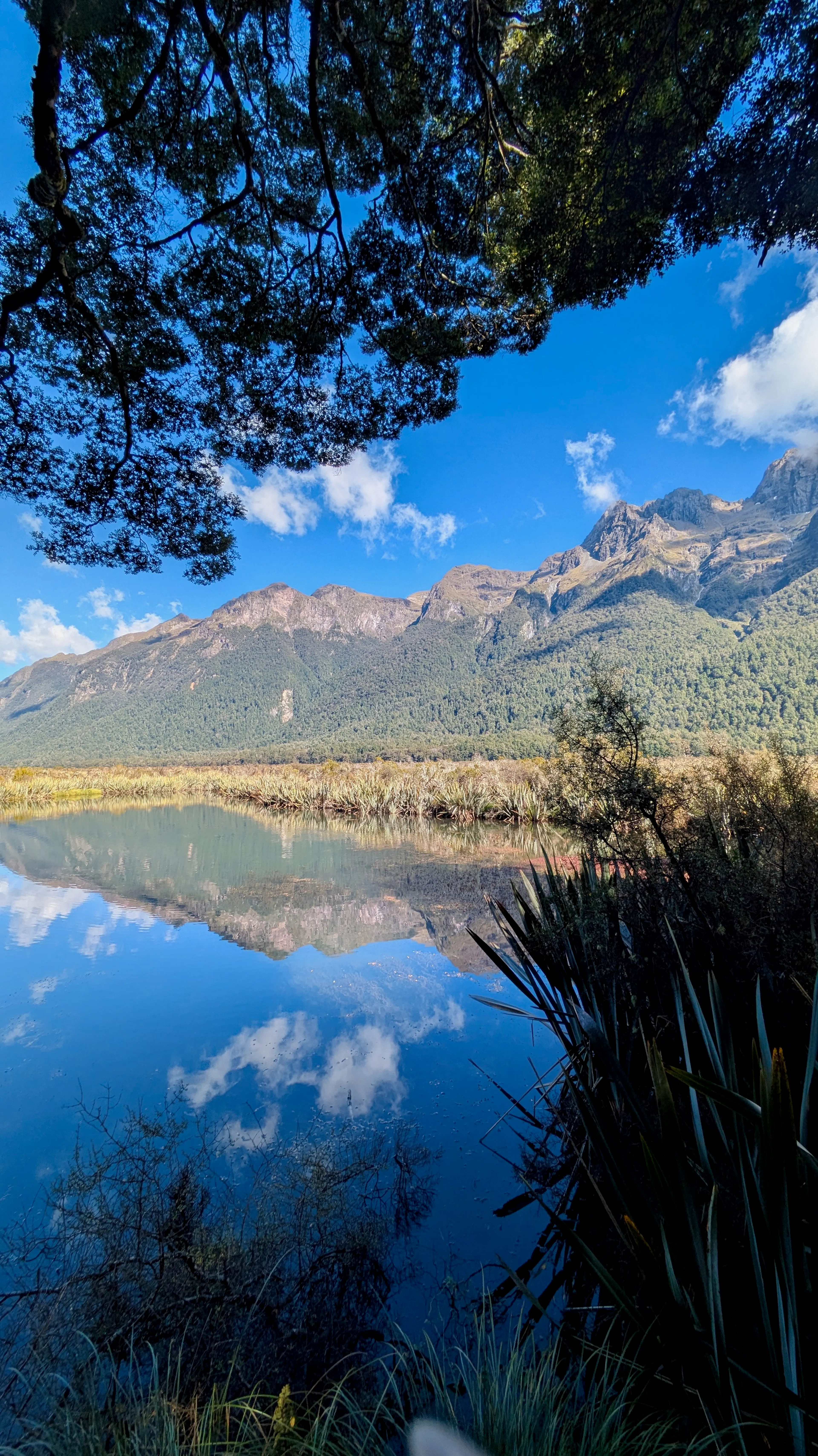 Plenty of photo stops on the Milford Sound day tour