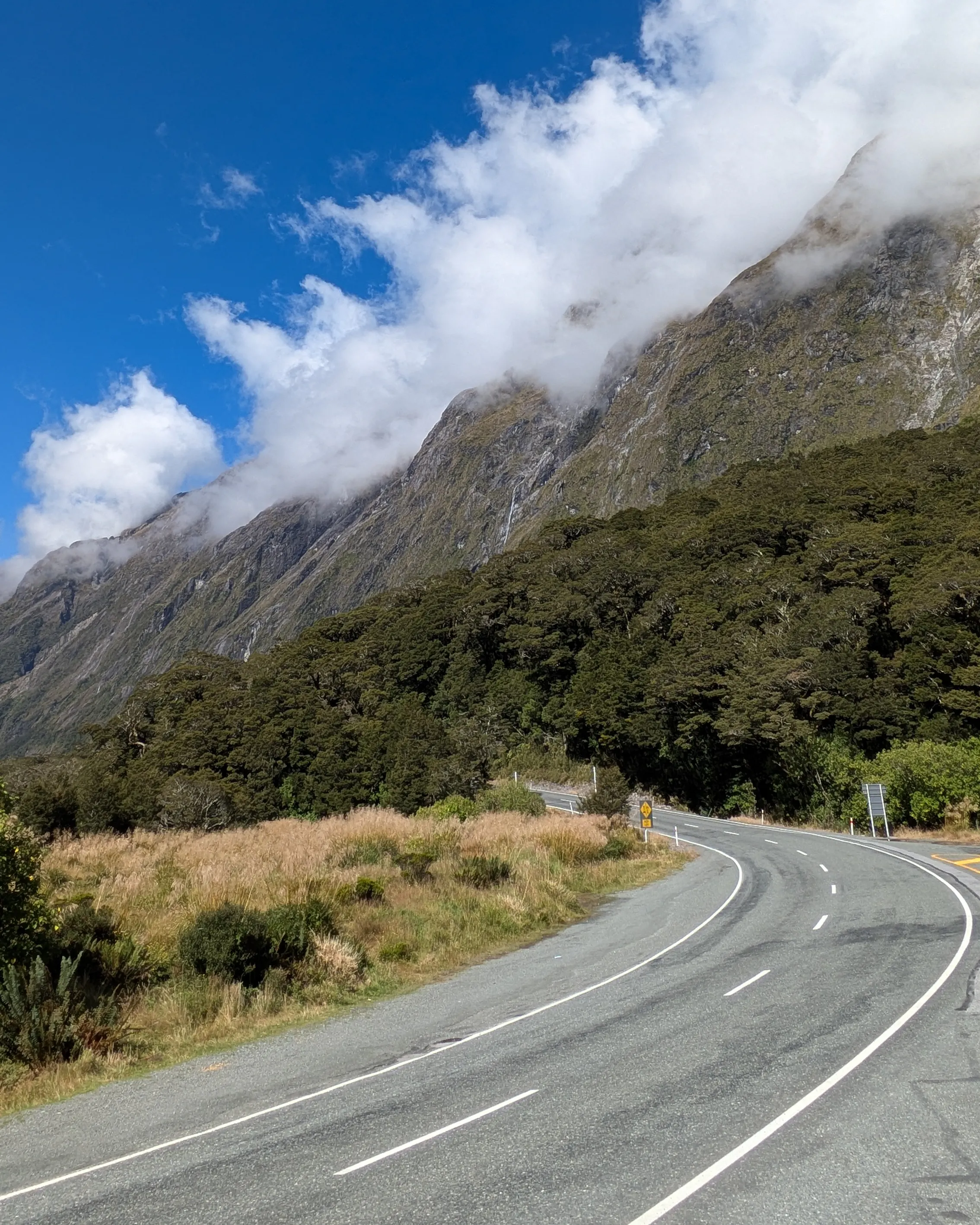 Milford Sound day trip