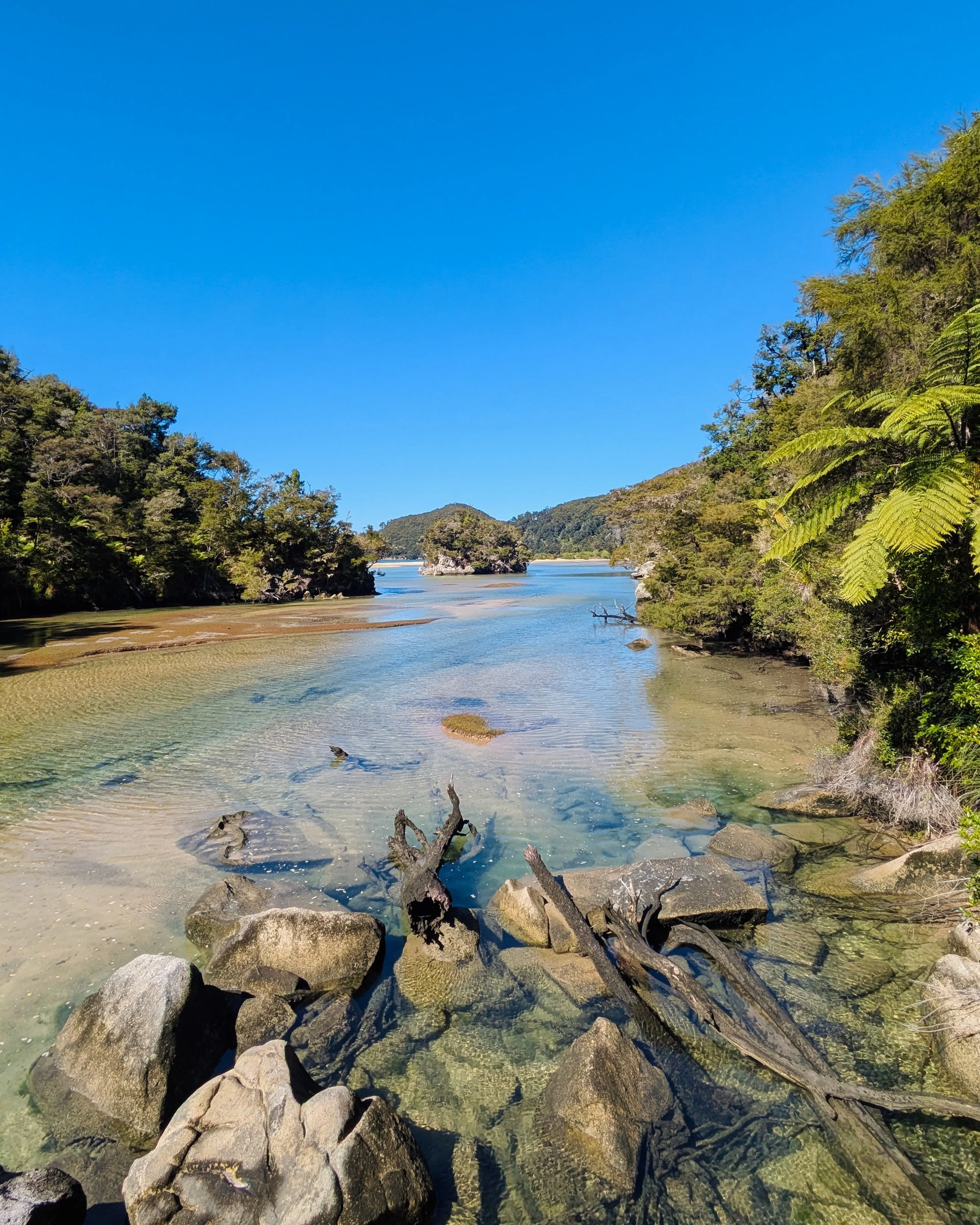 Gorgeous lagoons on the costal track