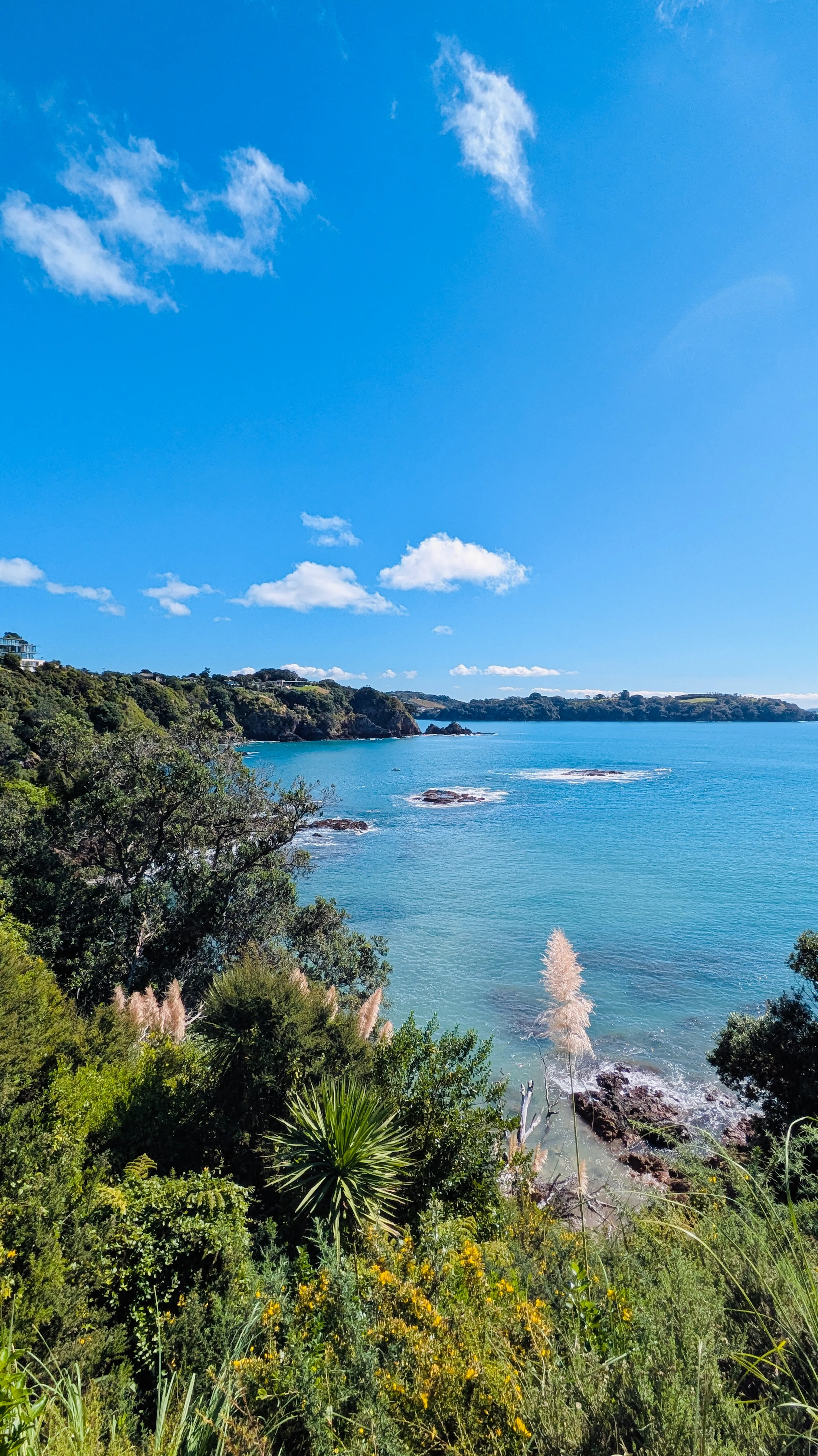 Endless gorgeous sea views on the coastal track