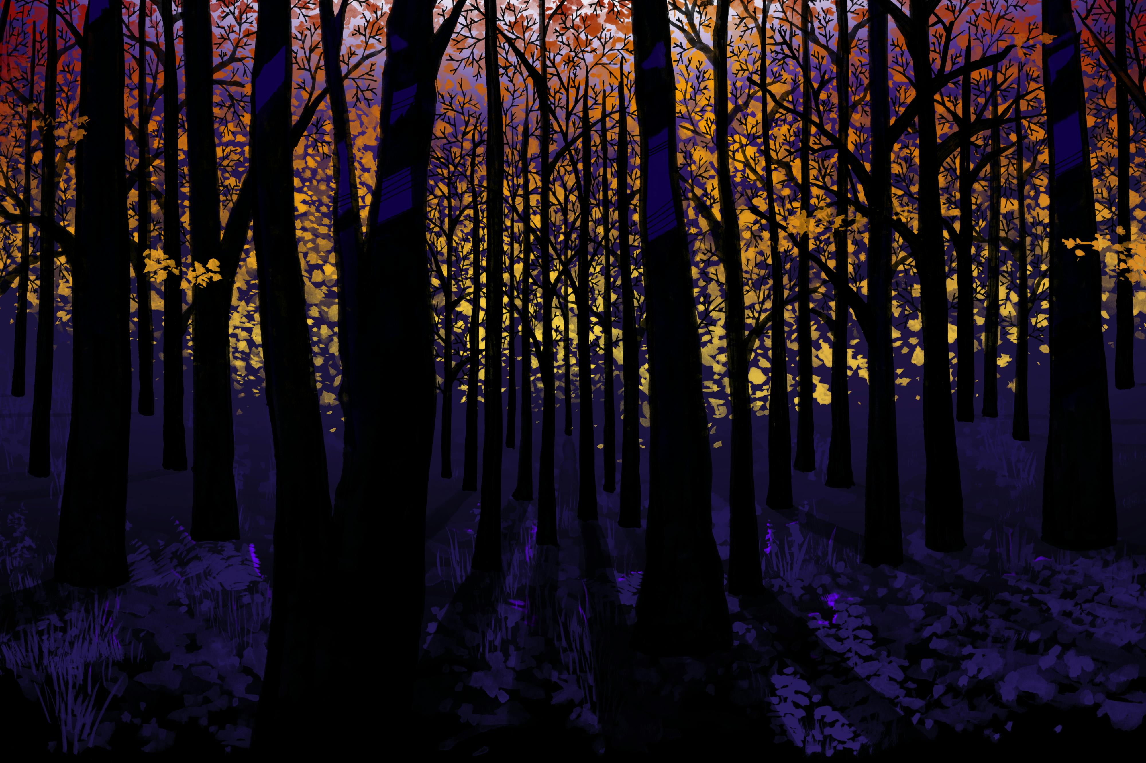 Fall (seasons series)