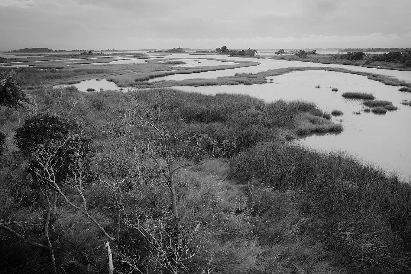 Asateague Island