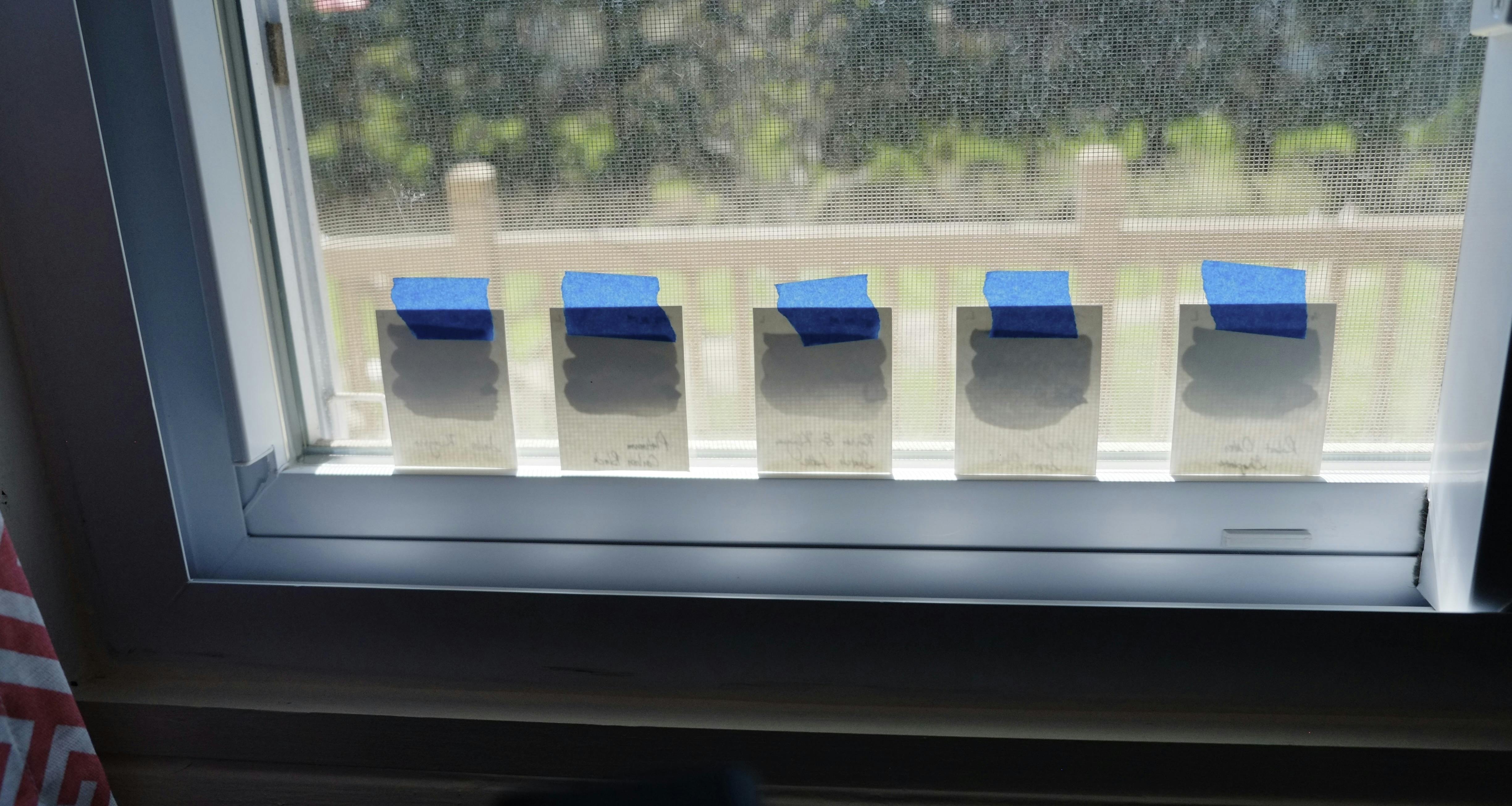 Ink swatches taped to my office window
