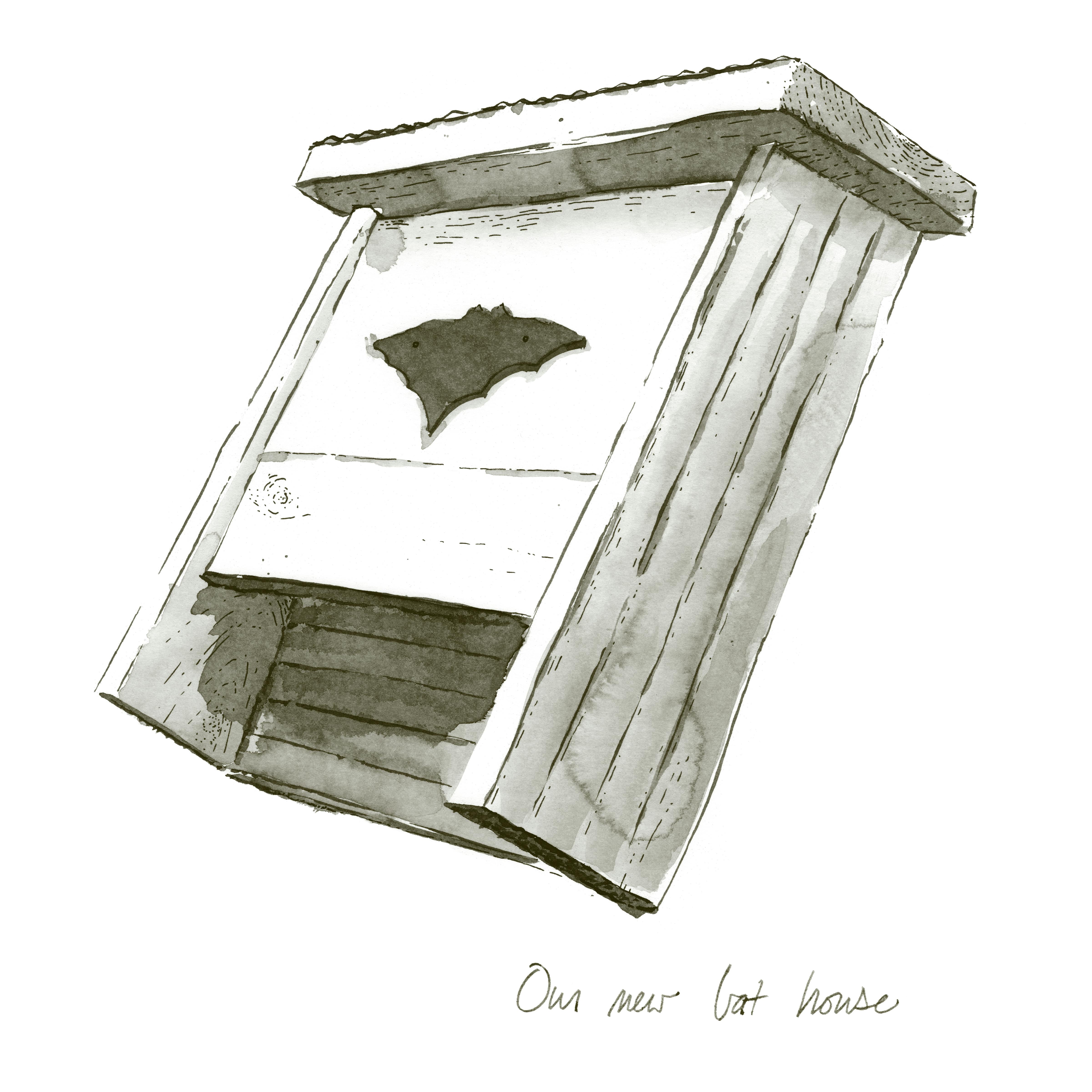 Ink wash drawing: our new bat house.
