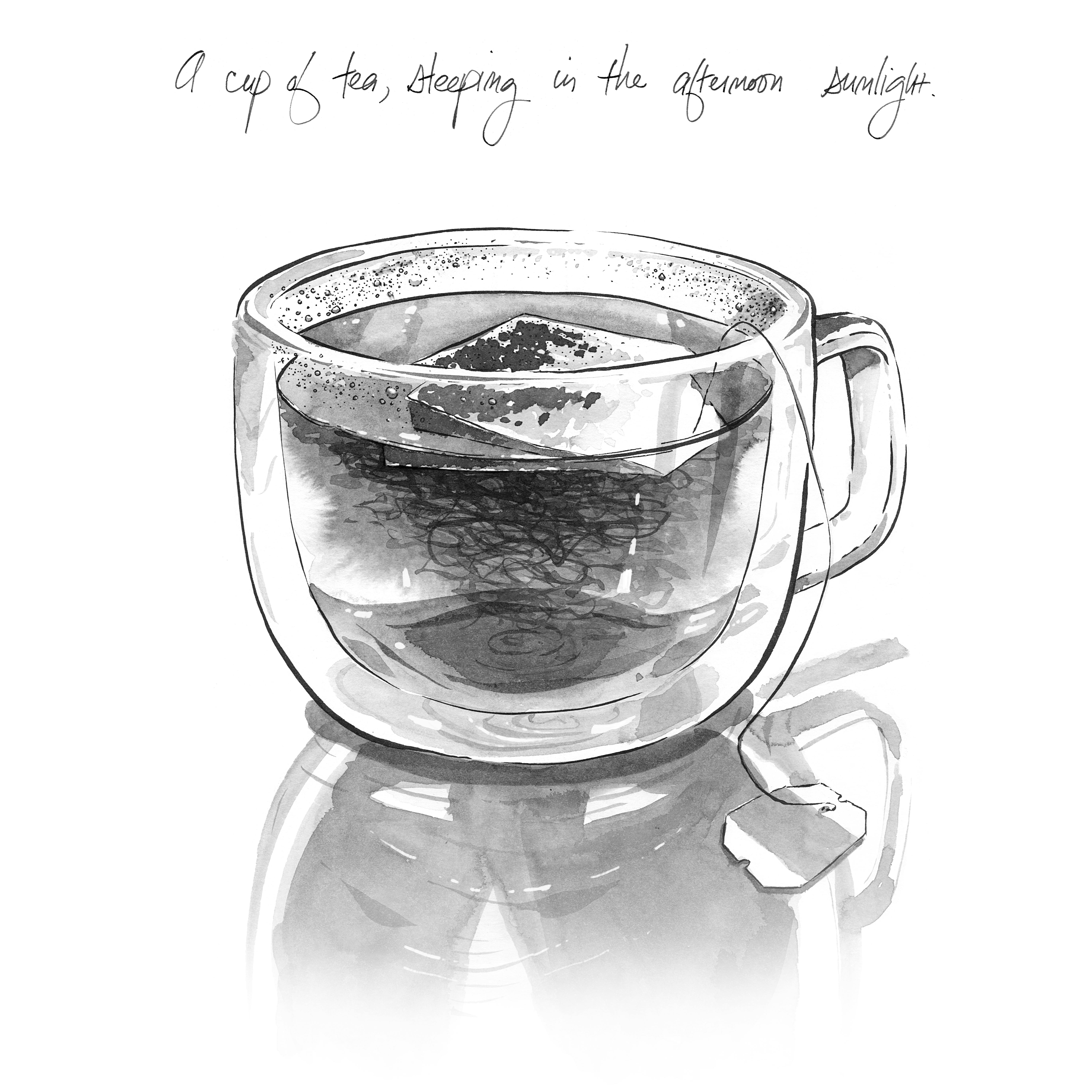 Ink wash drawing of a cup of tea, steeping in the afternoon sunlight.