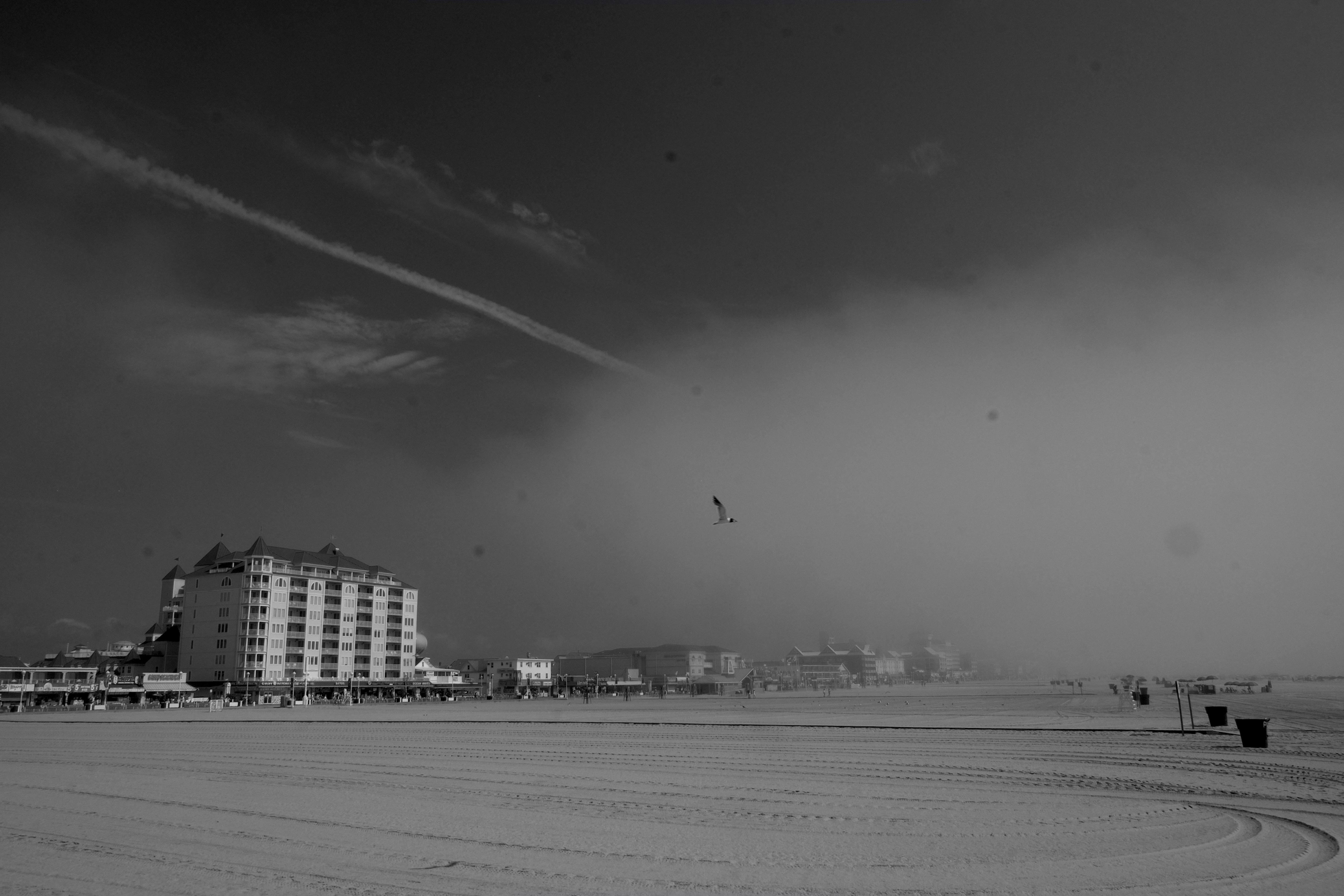 Black and white image of a beach. Fog lingers in the background, and a seagull flies in front of it. Hotels and housing are visible in the distance.