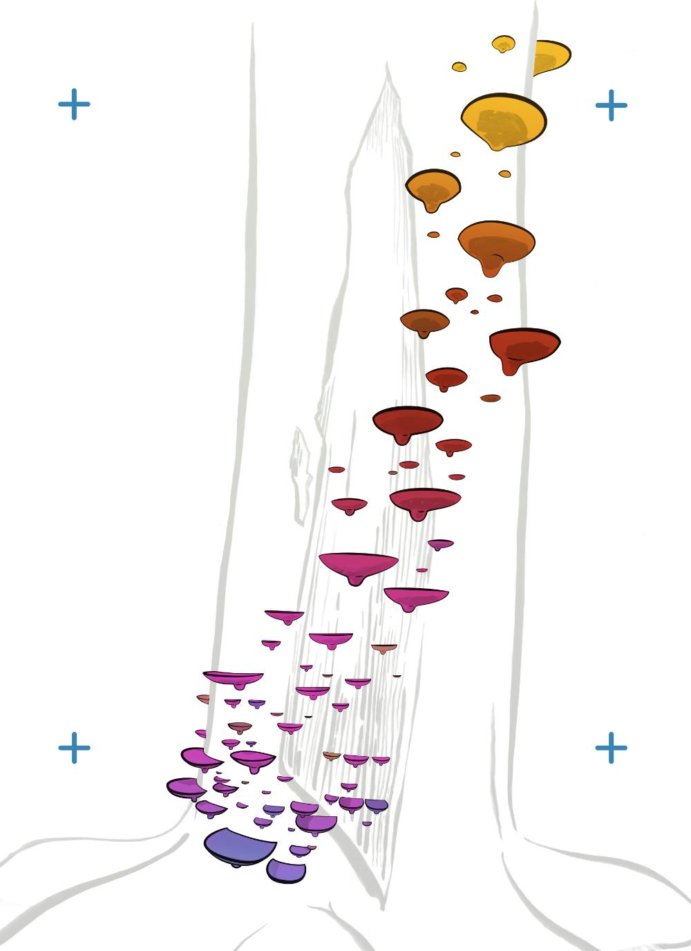 Digital color for the fungus