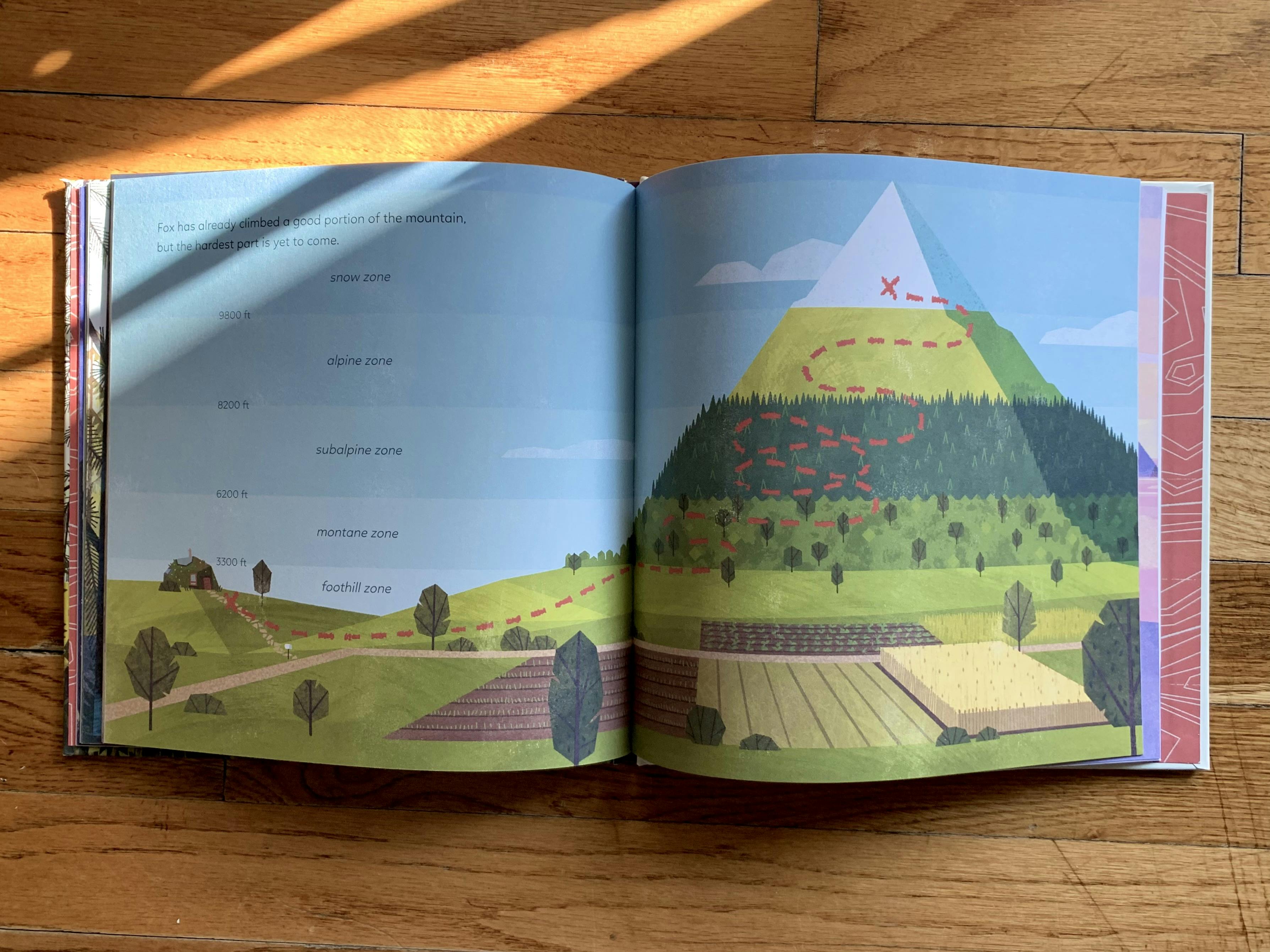An inside spread of my copy of ‘The Golden Glow’: an illustrated map of Fox’s journey, showing the zones of a mountain (foothill zone, montane zone, subalpine zone, alpine zone, and snow zone).