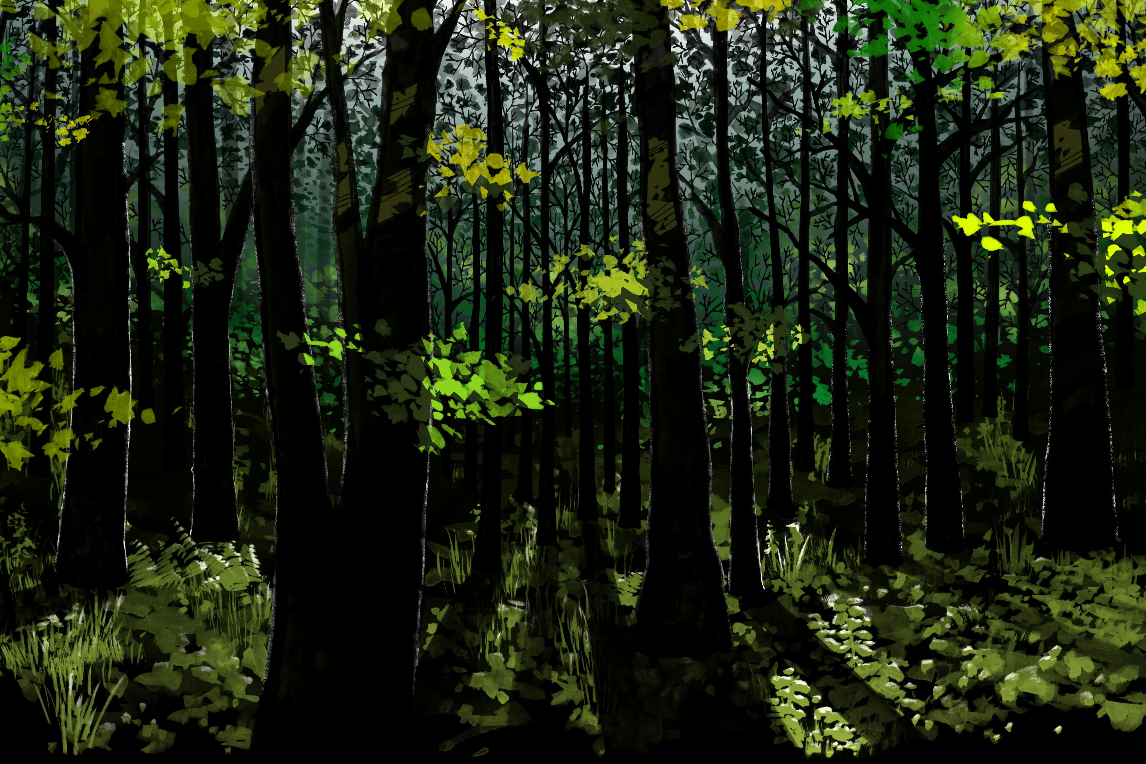 Summer (seasons series)