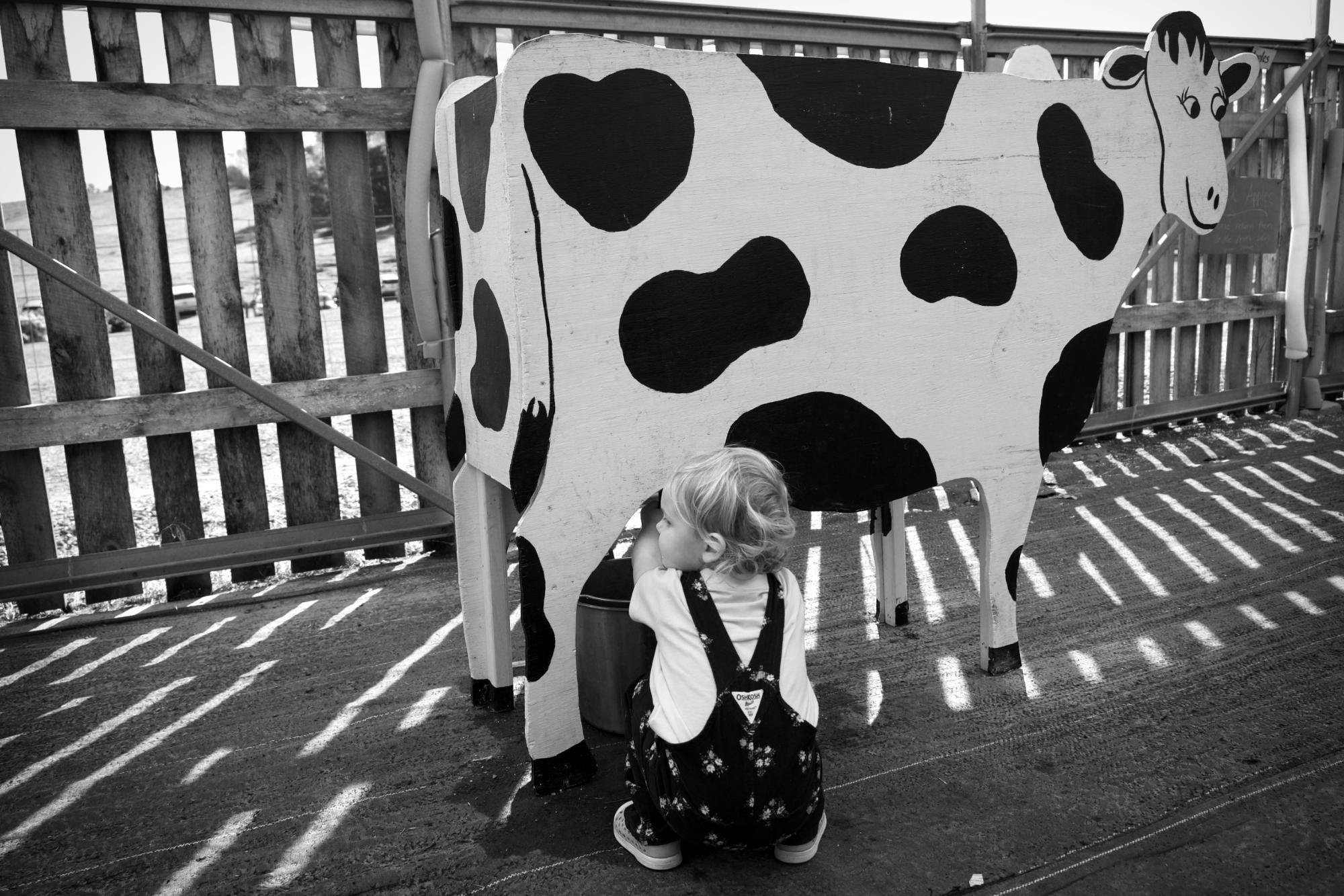 Milking a wooden cow