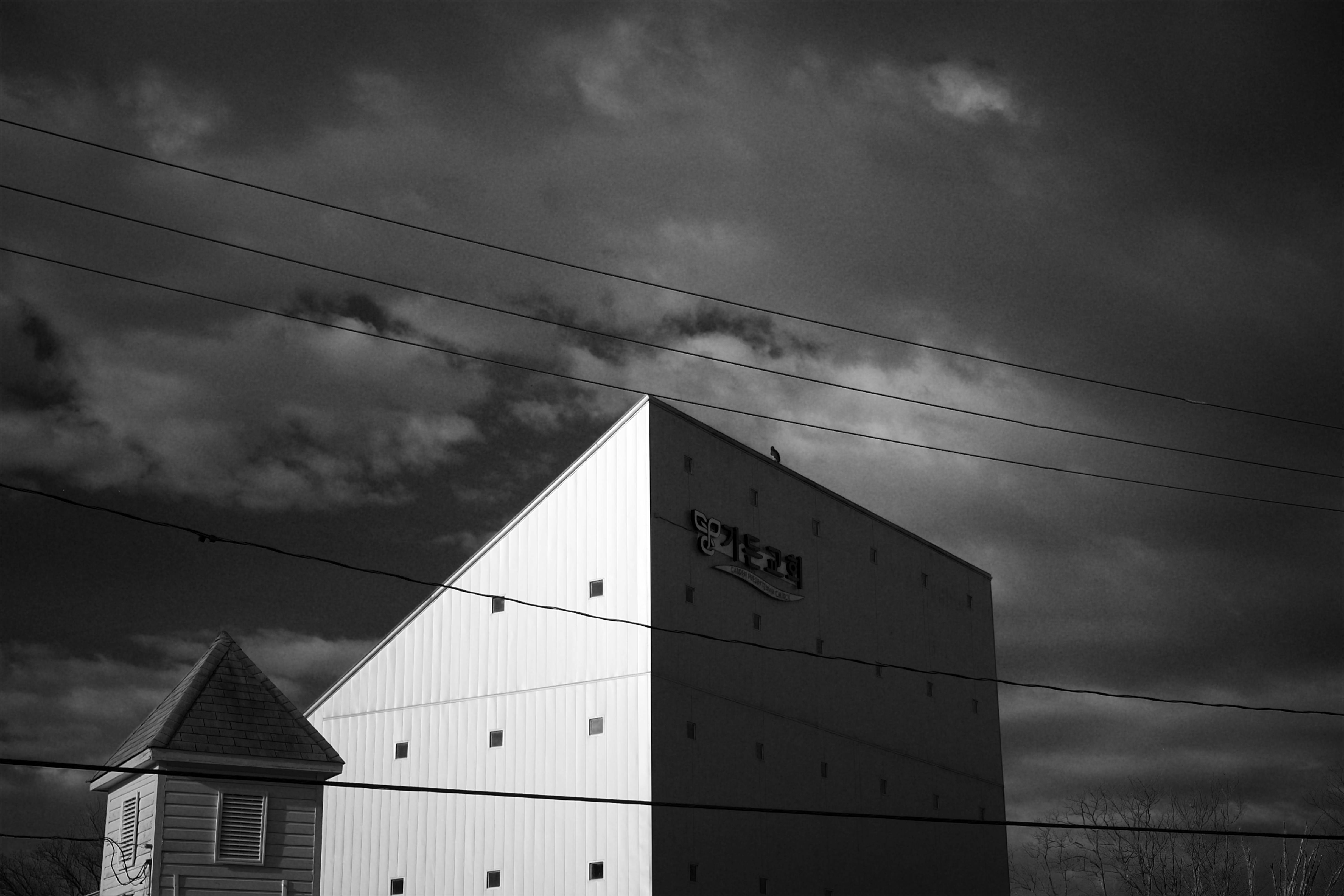 Black and white photo of a bird perched on a church roof against a cloudy sky