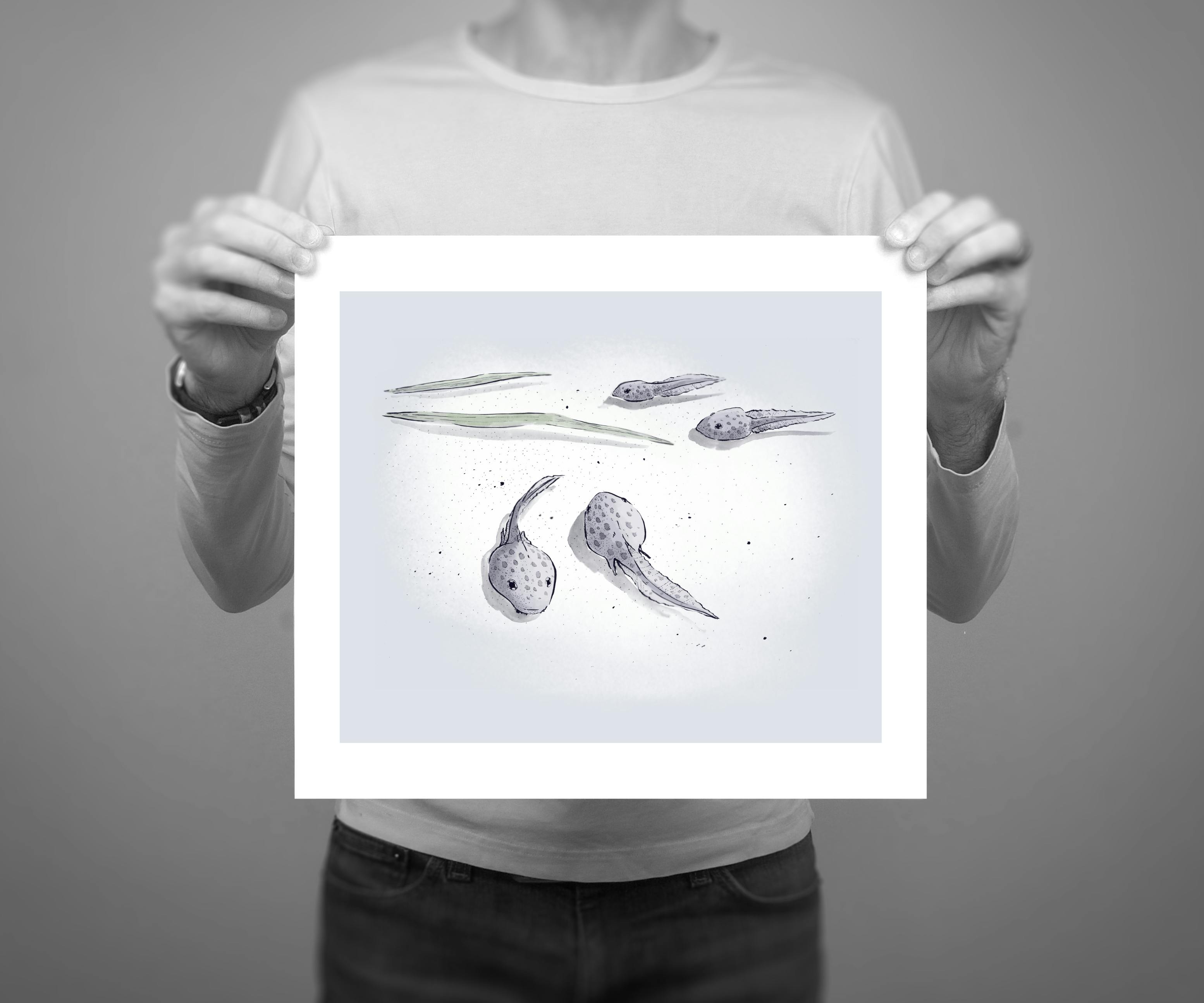 10 x 8” giclee edition of ‘Tadpoles’, an illustration from the Patapsco series