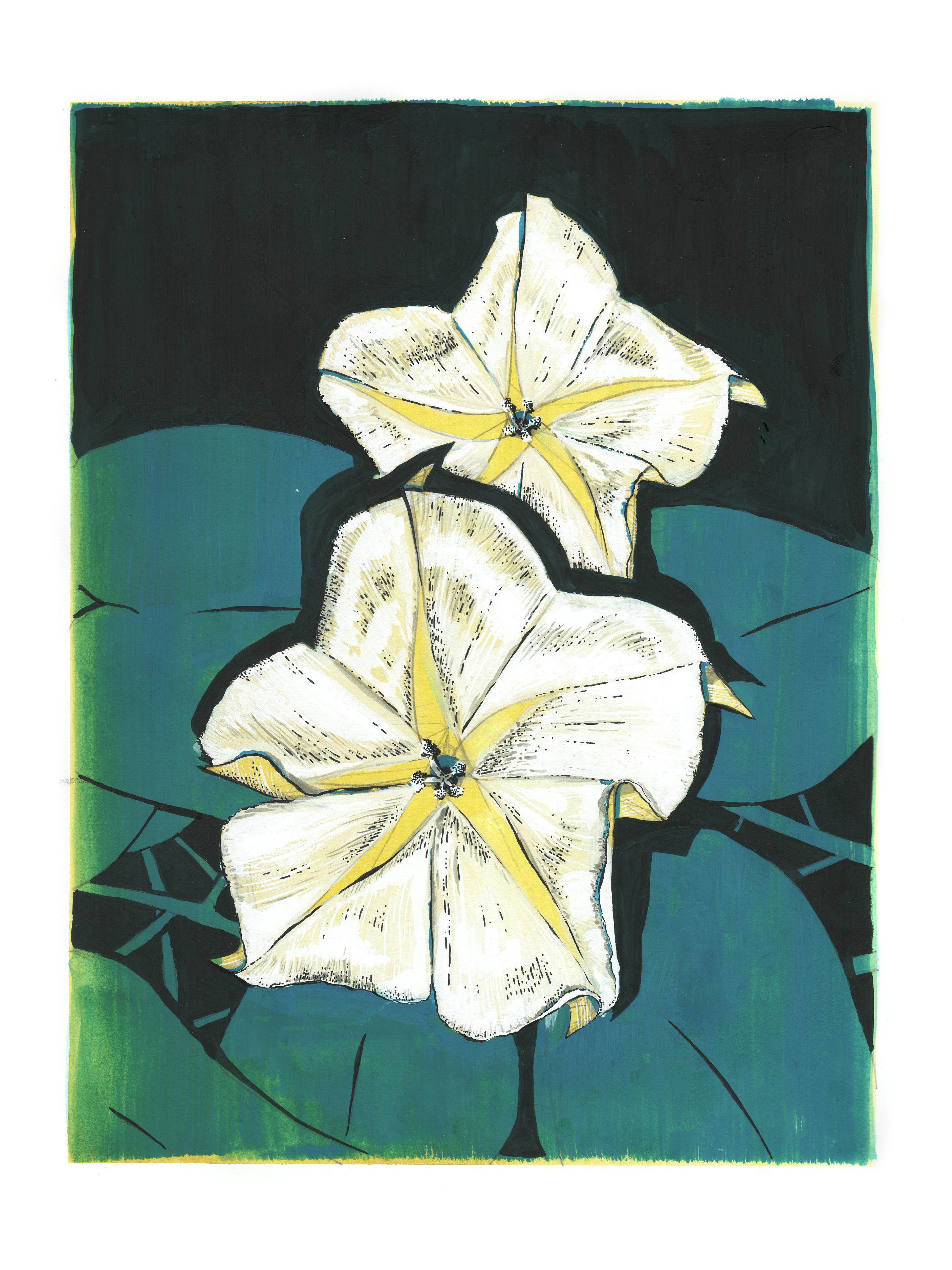 A scan of the moonflower drawing, with its original colors