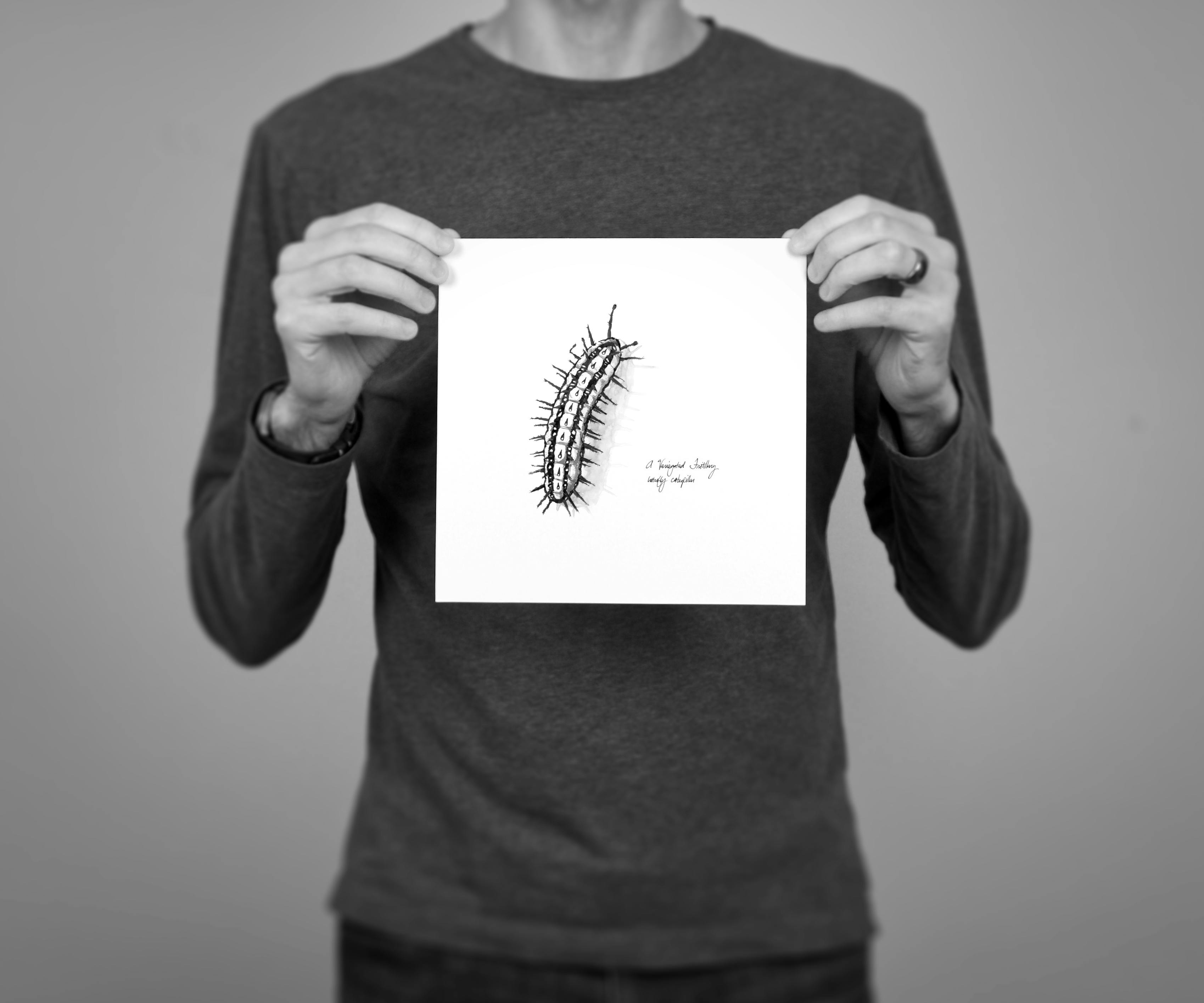 Caterpillar, 6 x 6” giclee print