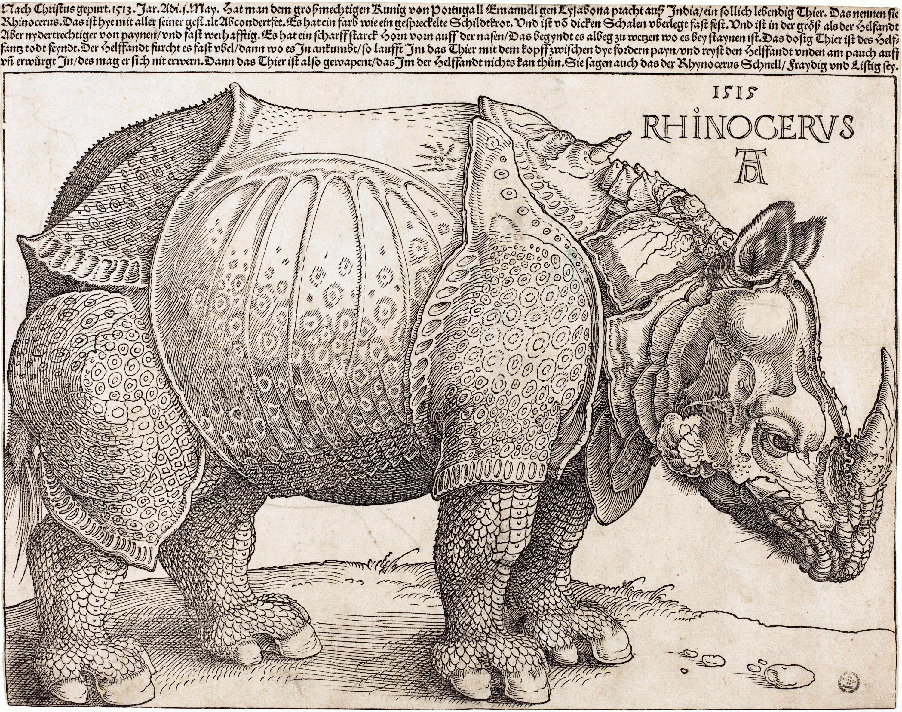 Albrecht Dürer's 1515 print, 'Rhinoceros'. A black-and-sepia woodcut print, it shows a rhino with fanciful armor, extra horns, and scales.