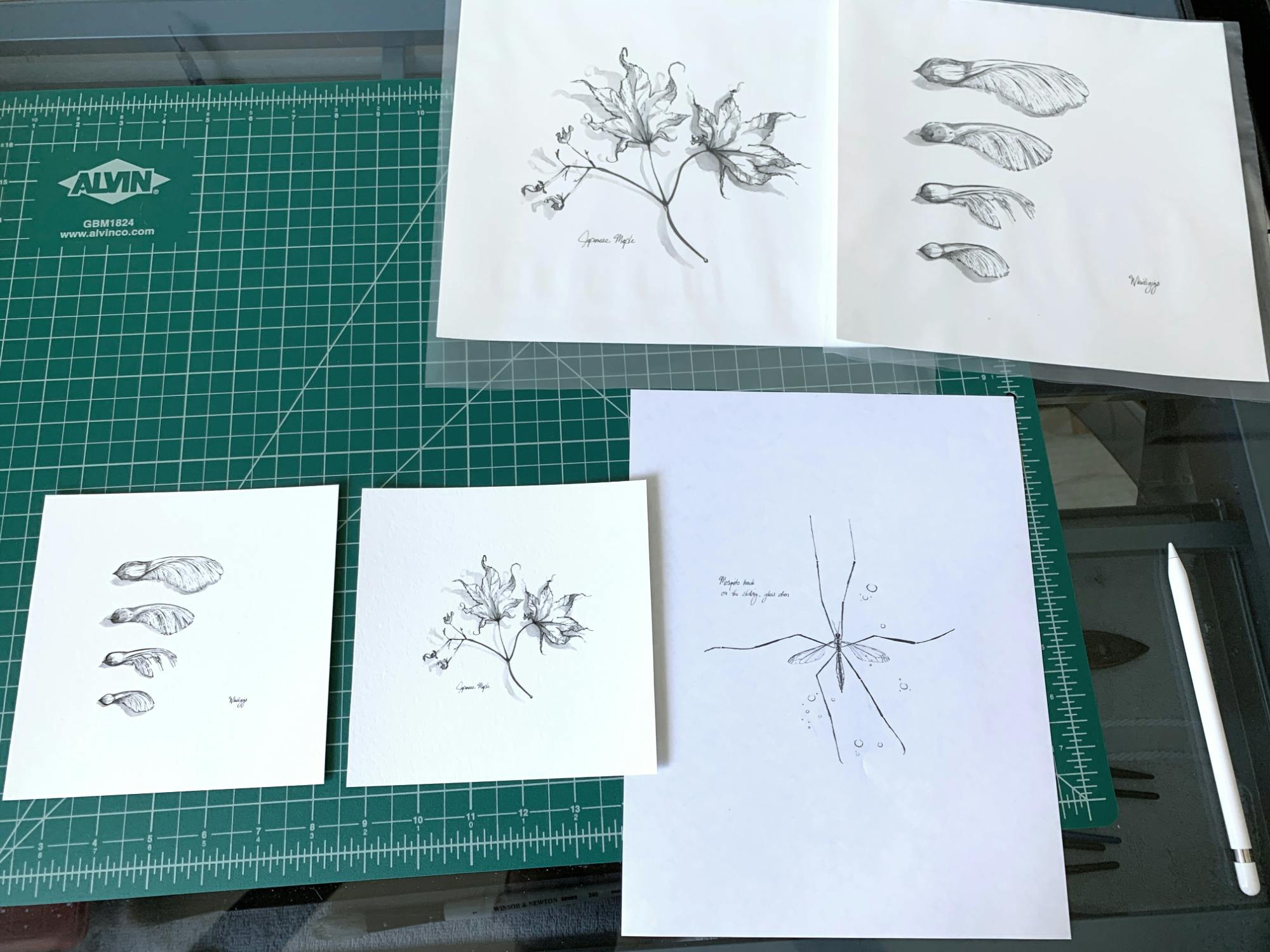 “Inventory” series prints on a table