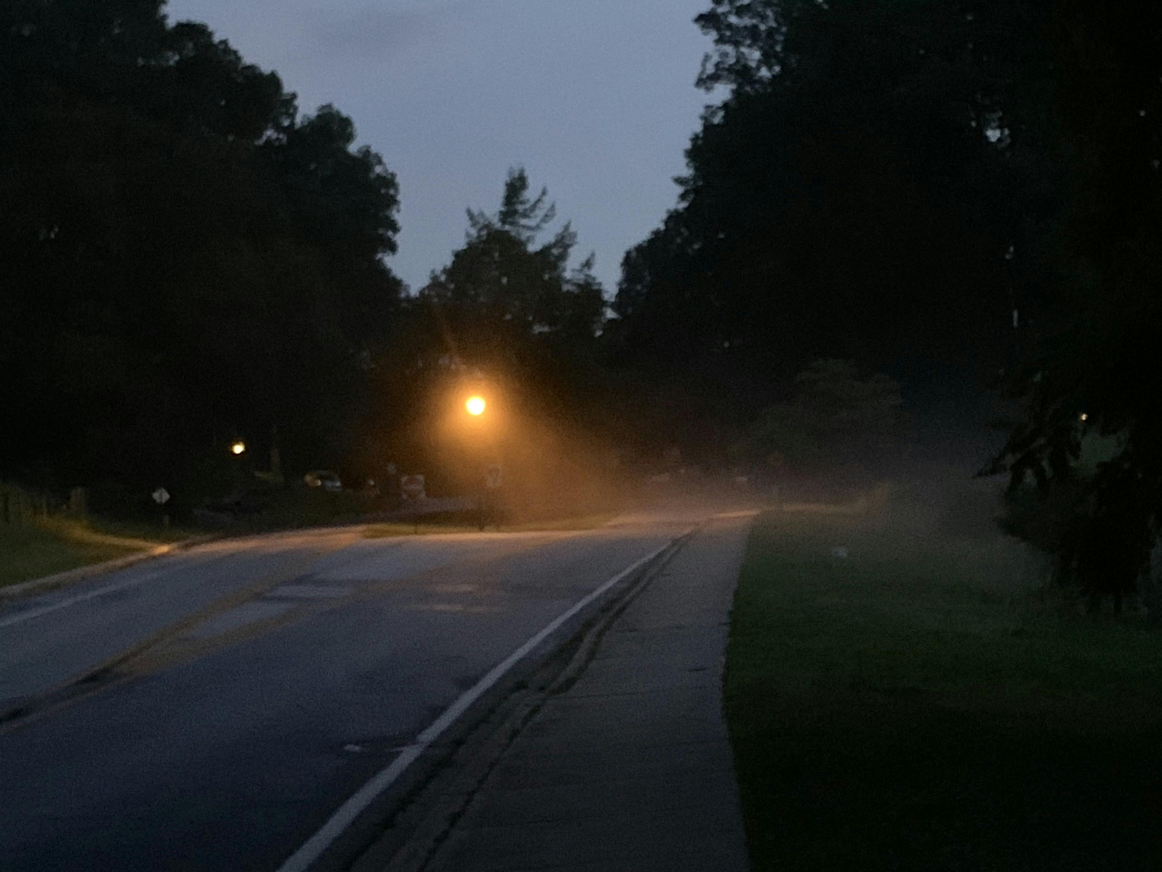 Fog on a street at dusk