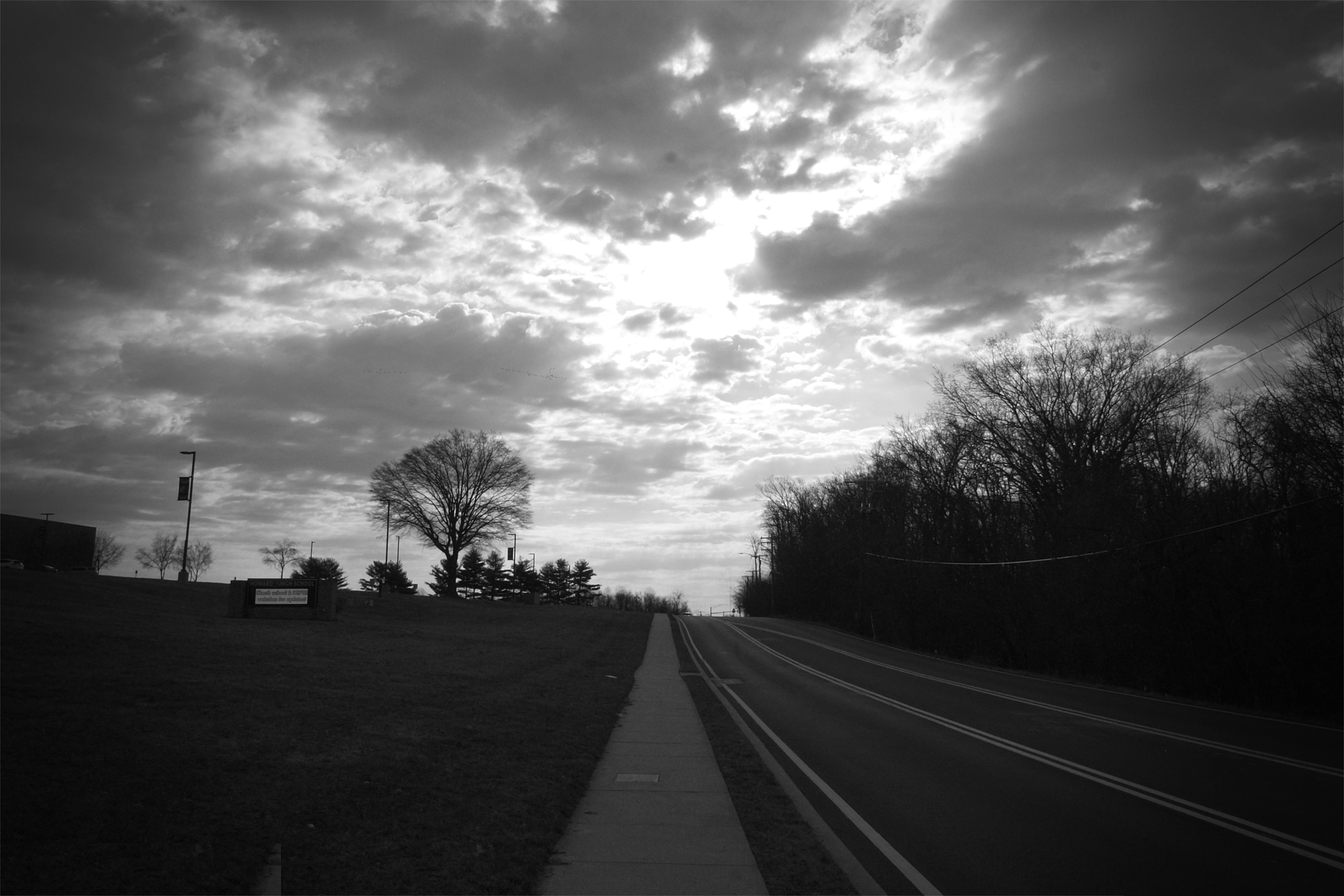 Black and white photo of a sidewalk rising up a hill alongside a tree-lined road, against a cloudy, backlit sky