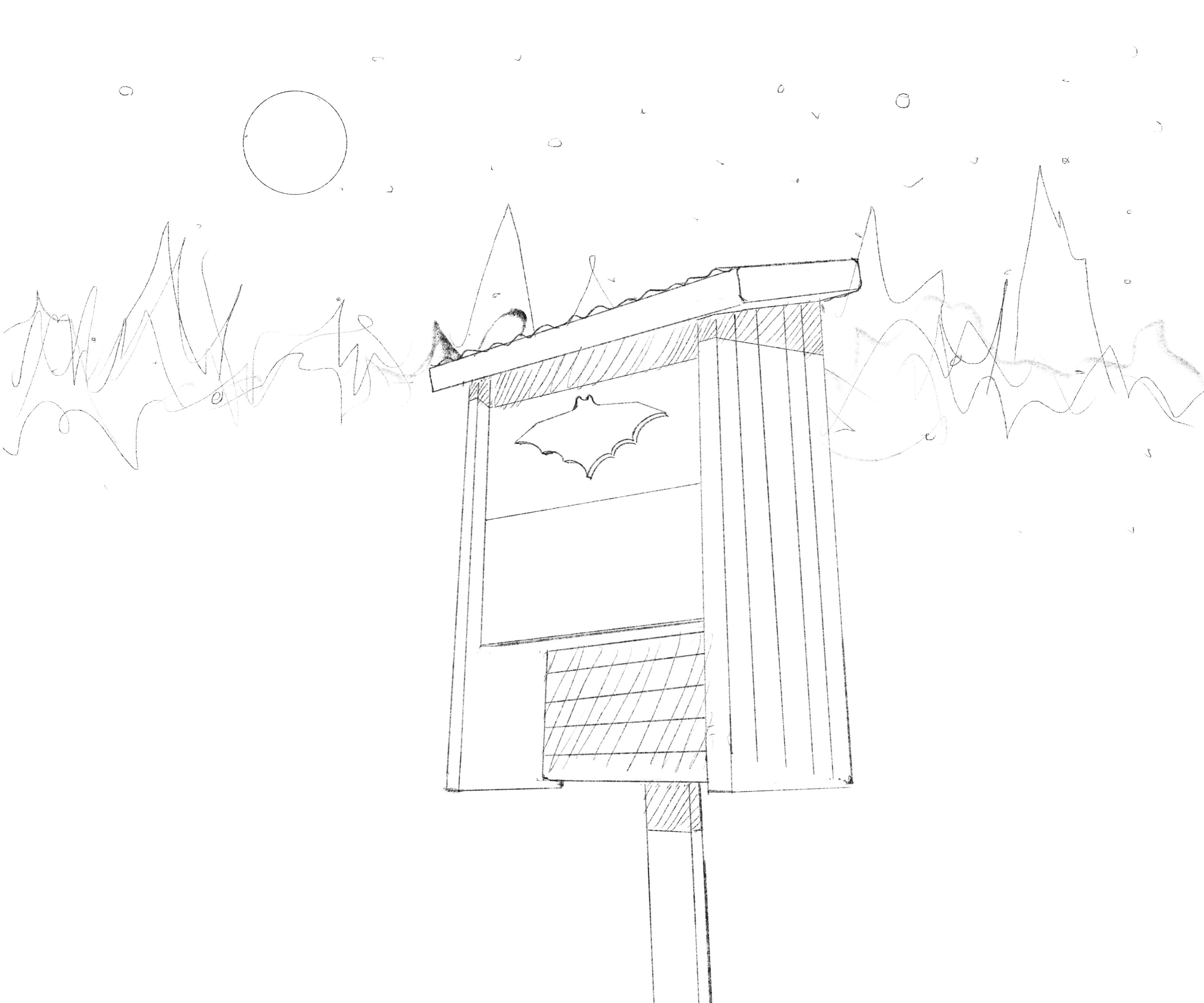 Jay Perry Pencils for a bat house illustration