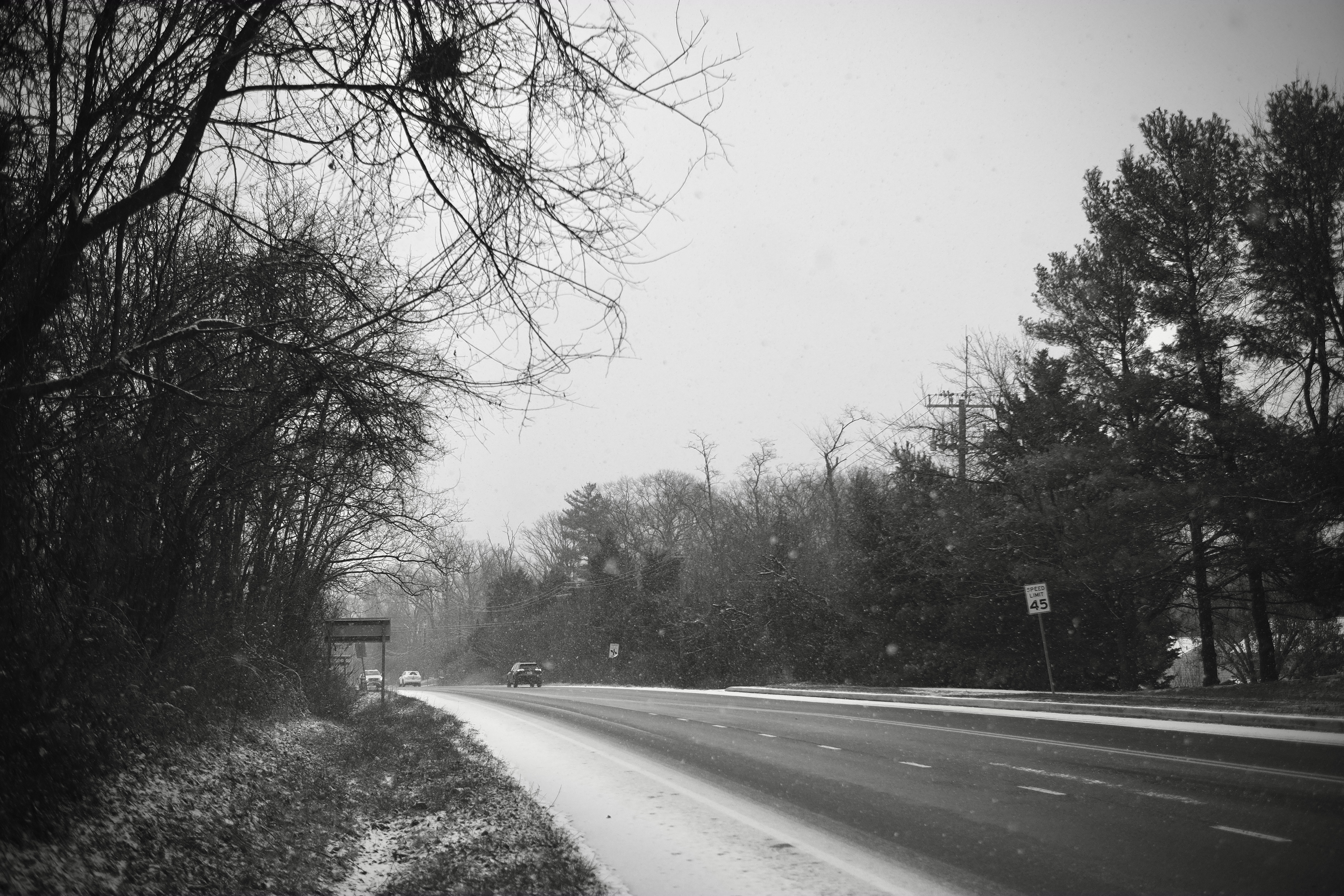 Jay Perry | First snowfall