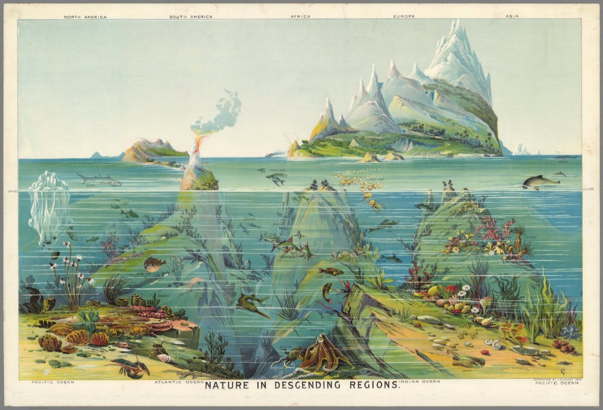 An illustration by Levi Walter Yaggy