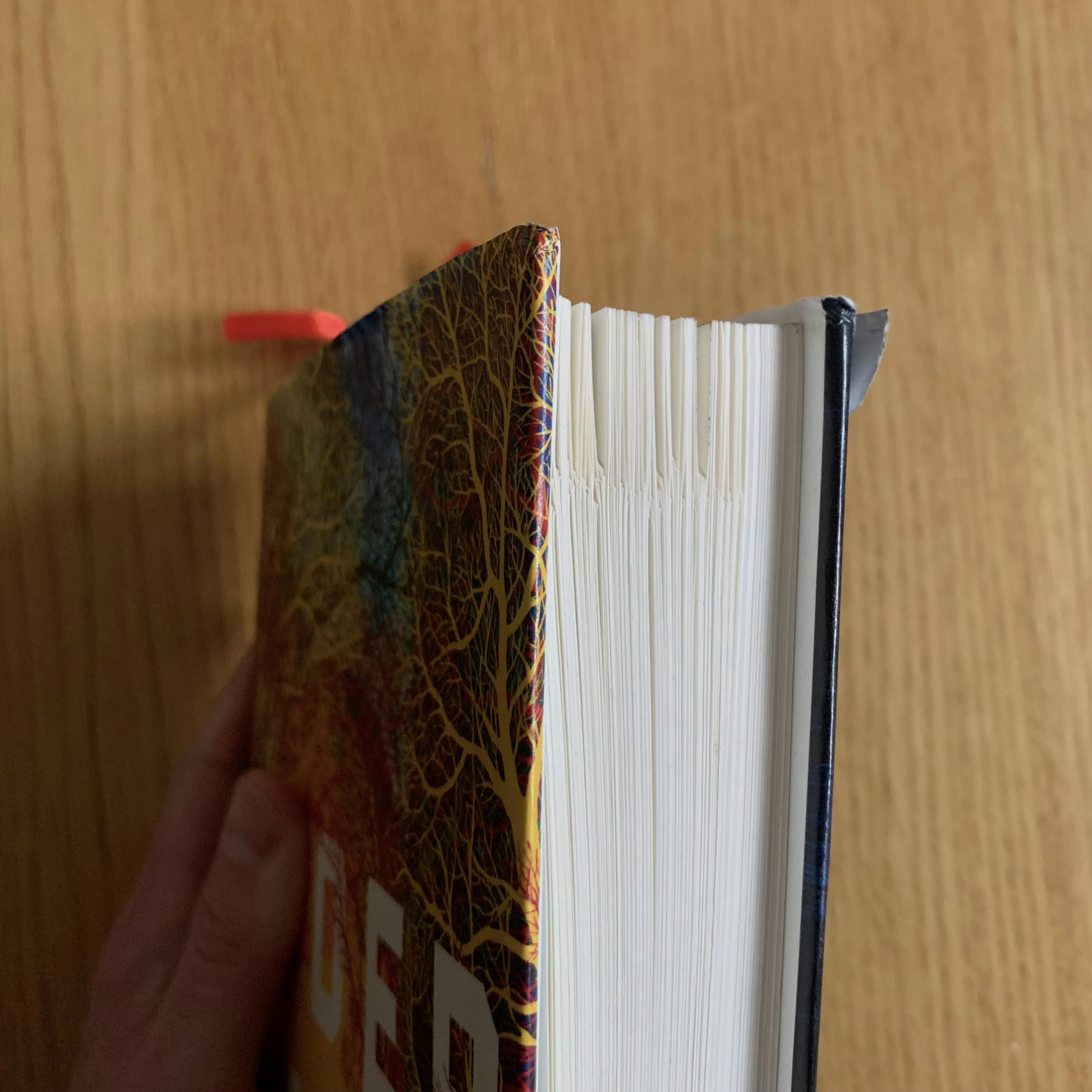 Dog-eared pages in my copy of "Underland" by Robert MacFarlane