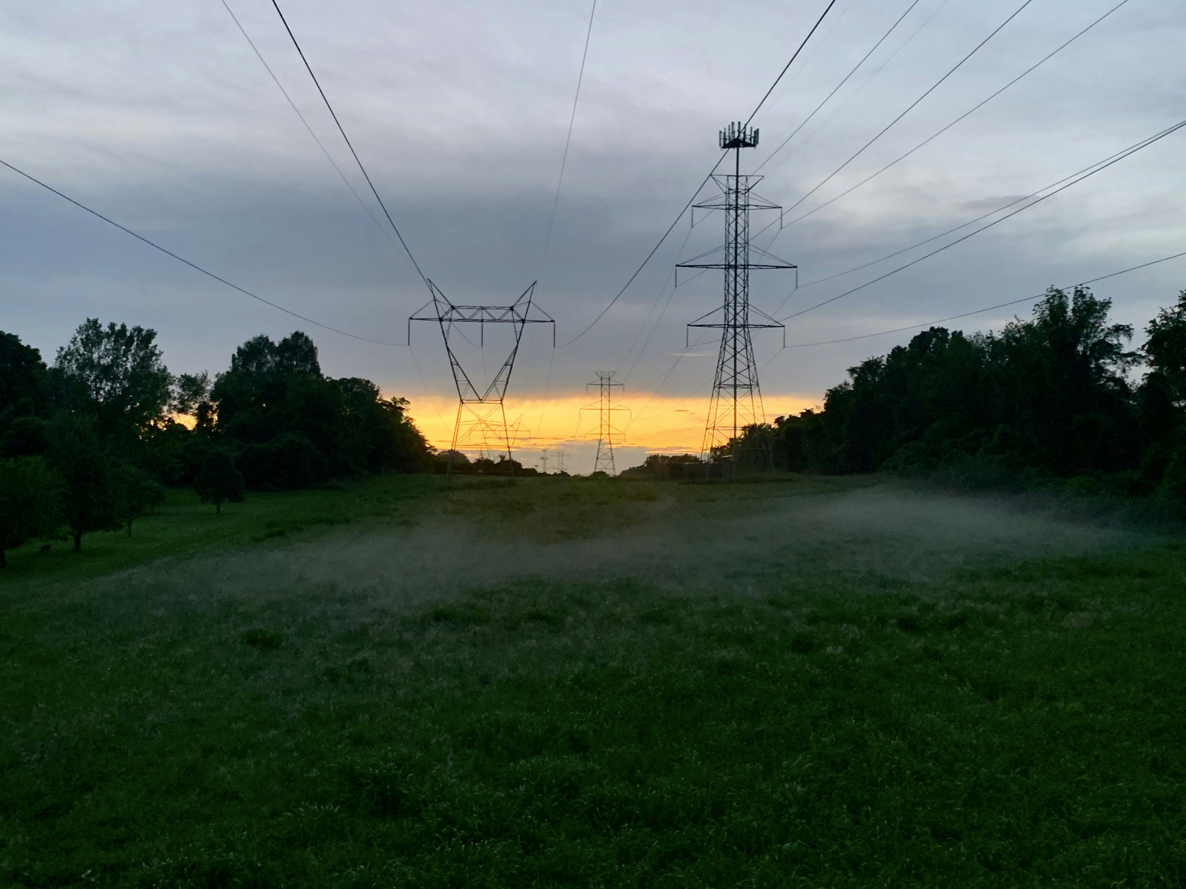 Fog settling on a field under power lines