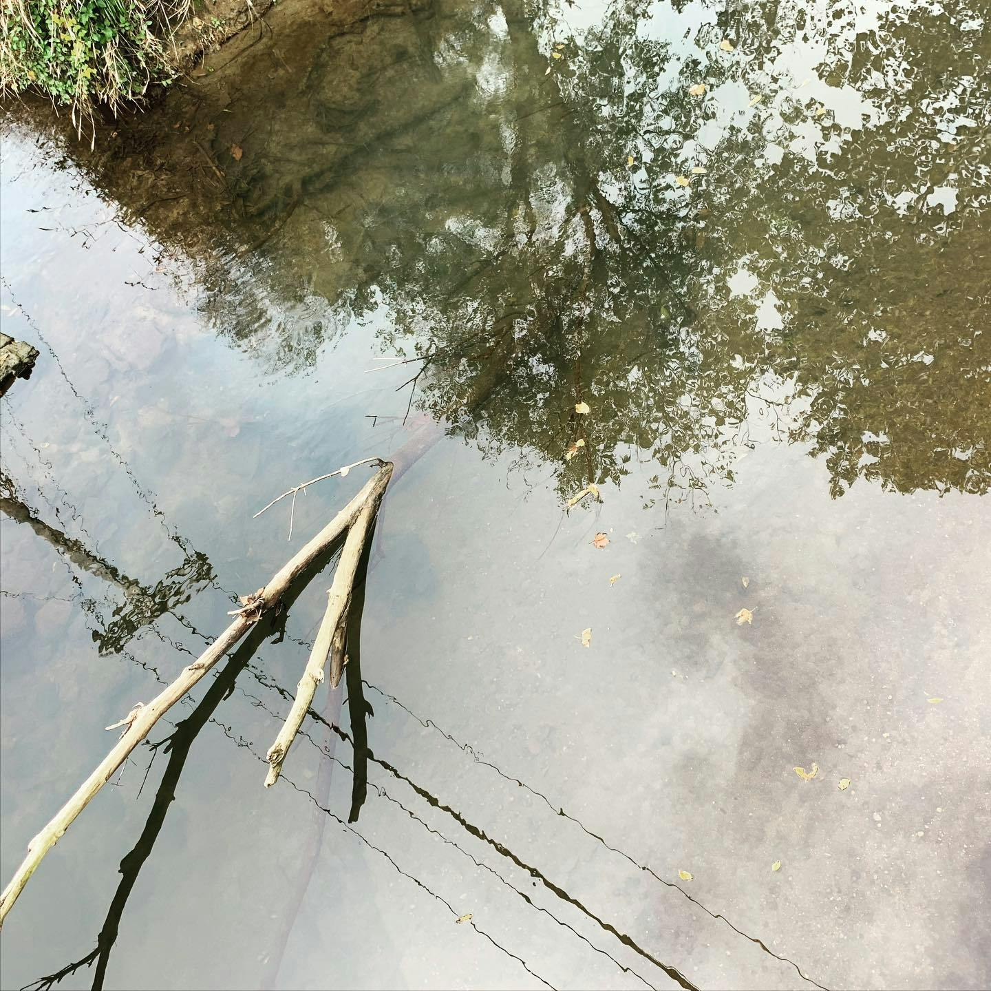 An overhead photo of a creek. A floating log pokes out of the water, and trees and power lines are reflected on the surface.