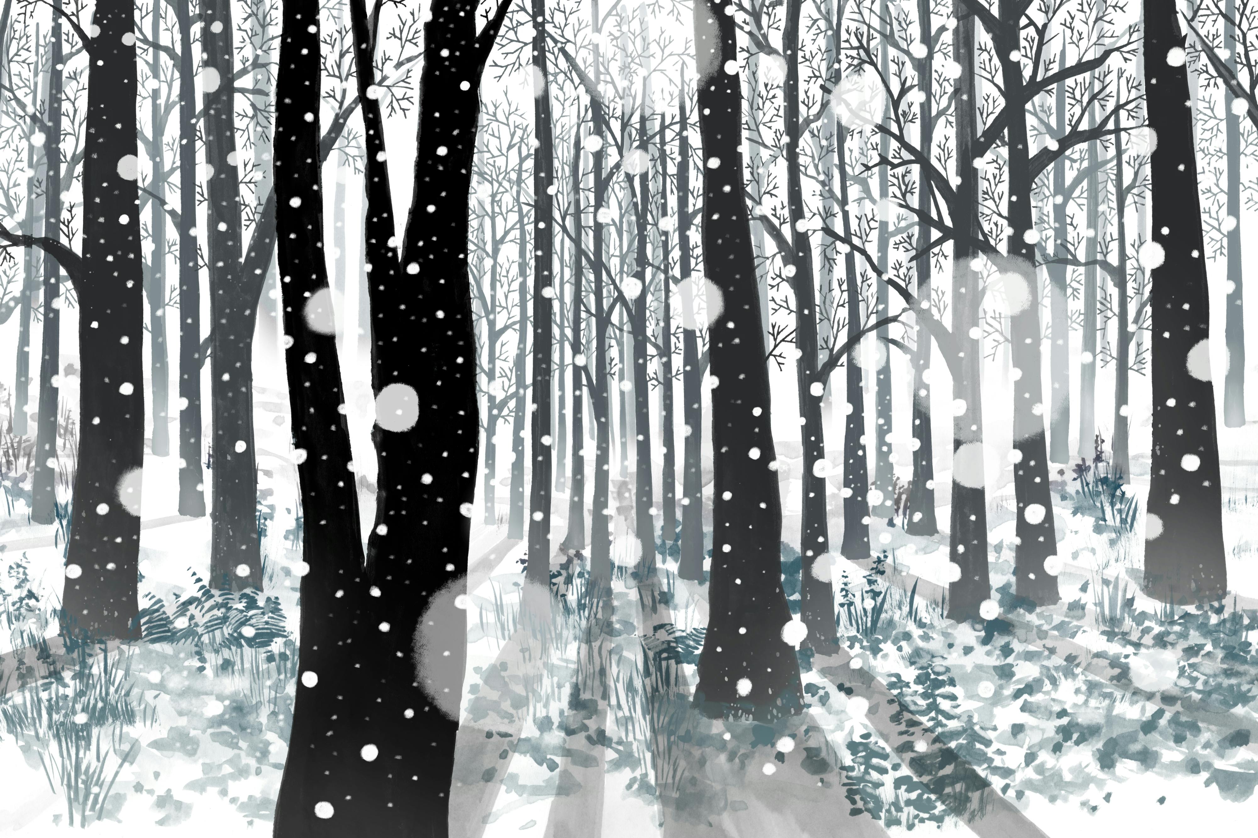 Winter (seasons series)