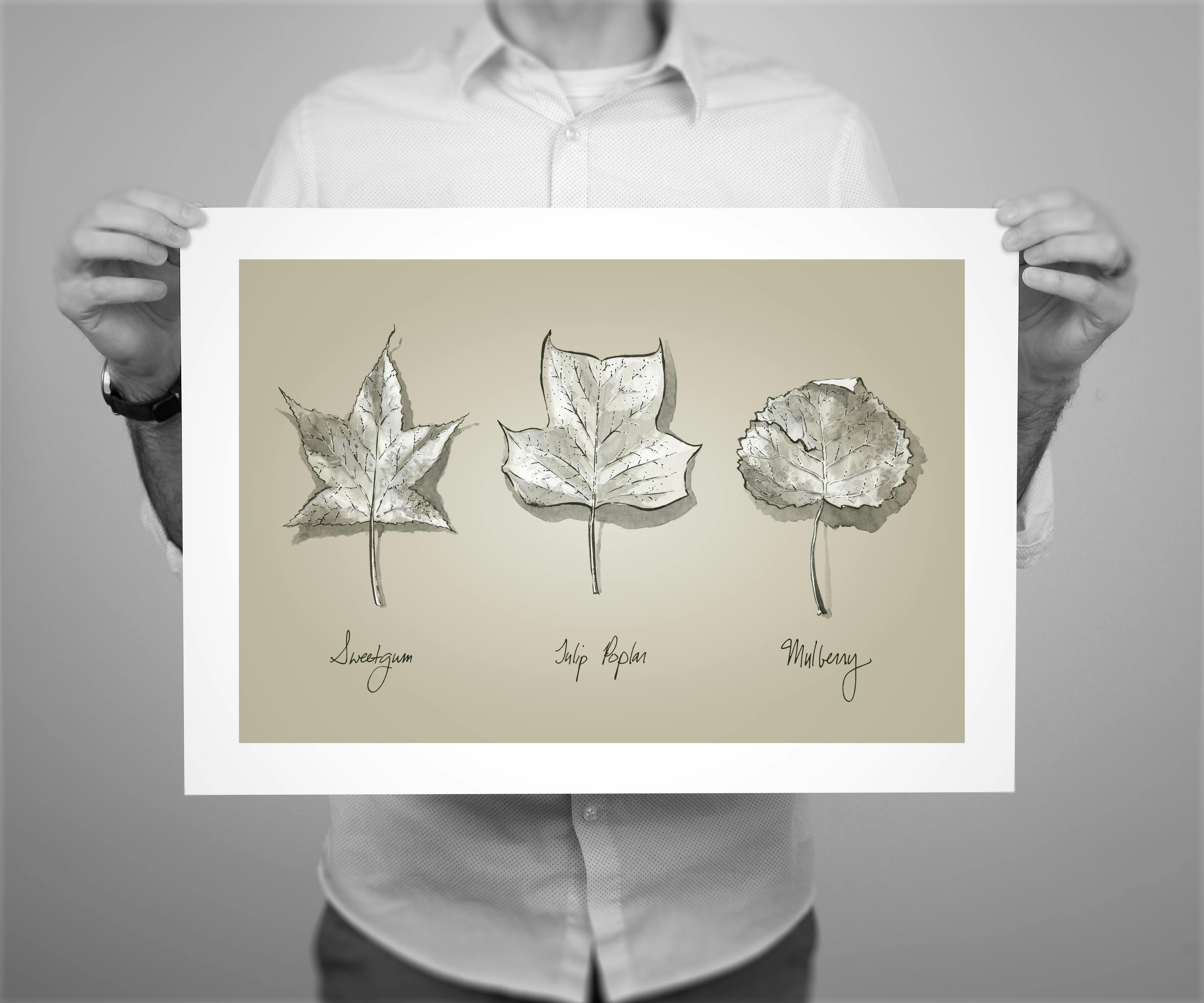 18 x 12” print edition of ‘Leaves’, an ink drawing from the Patapsco series