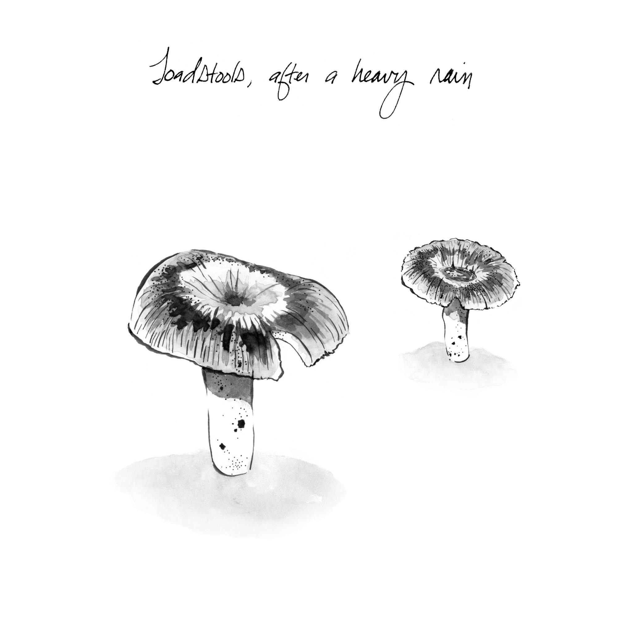 Toadstools