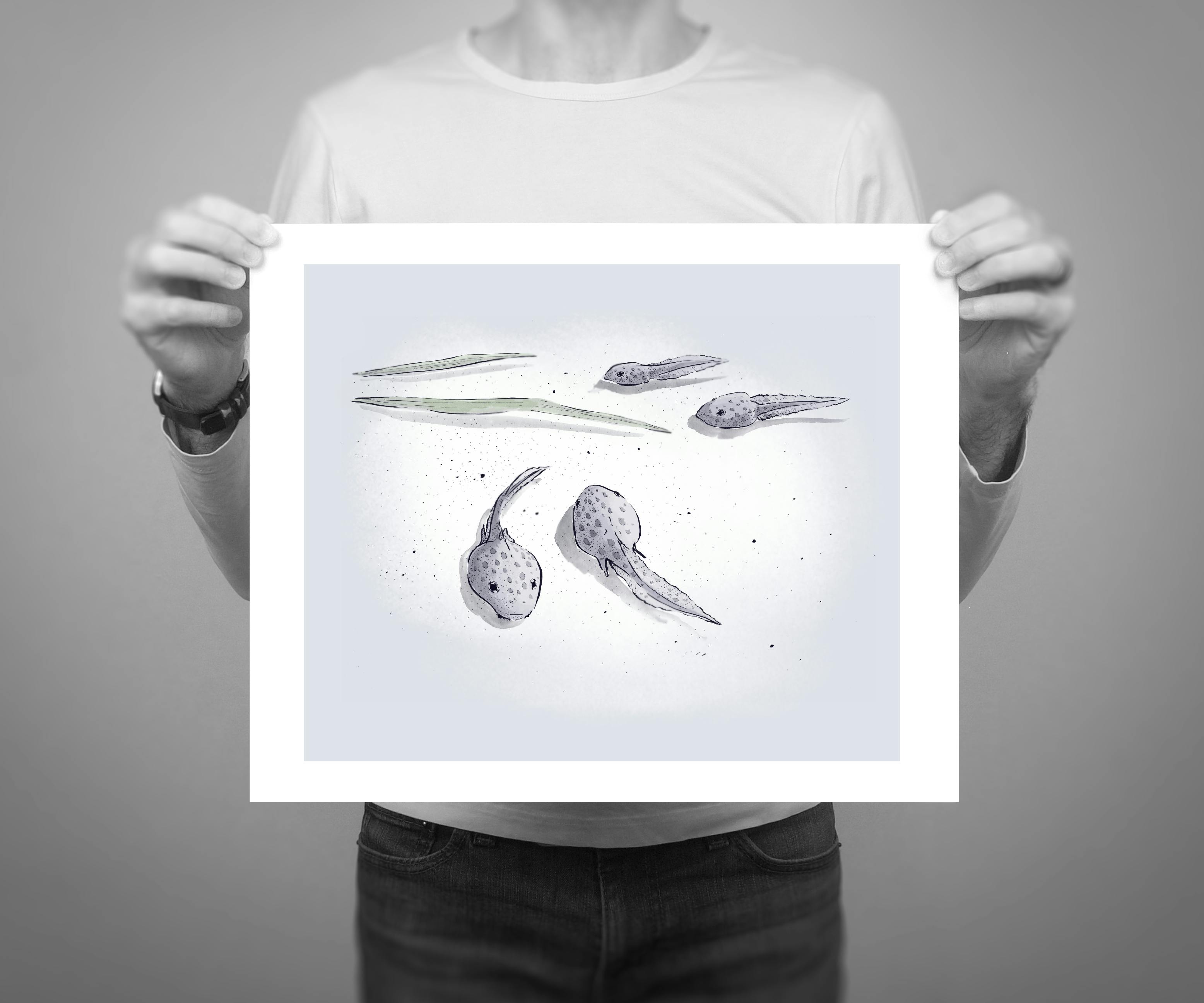 14 x 11” giclee edition of ‘Tadpoles’, an illustration from the Patapsco series