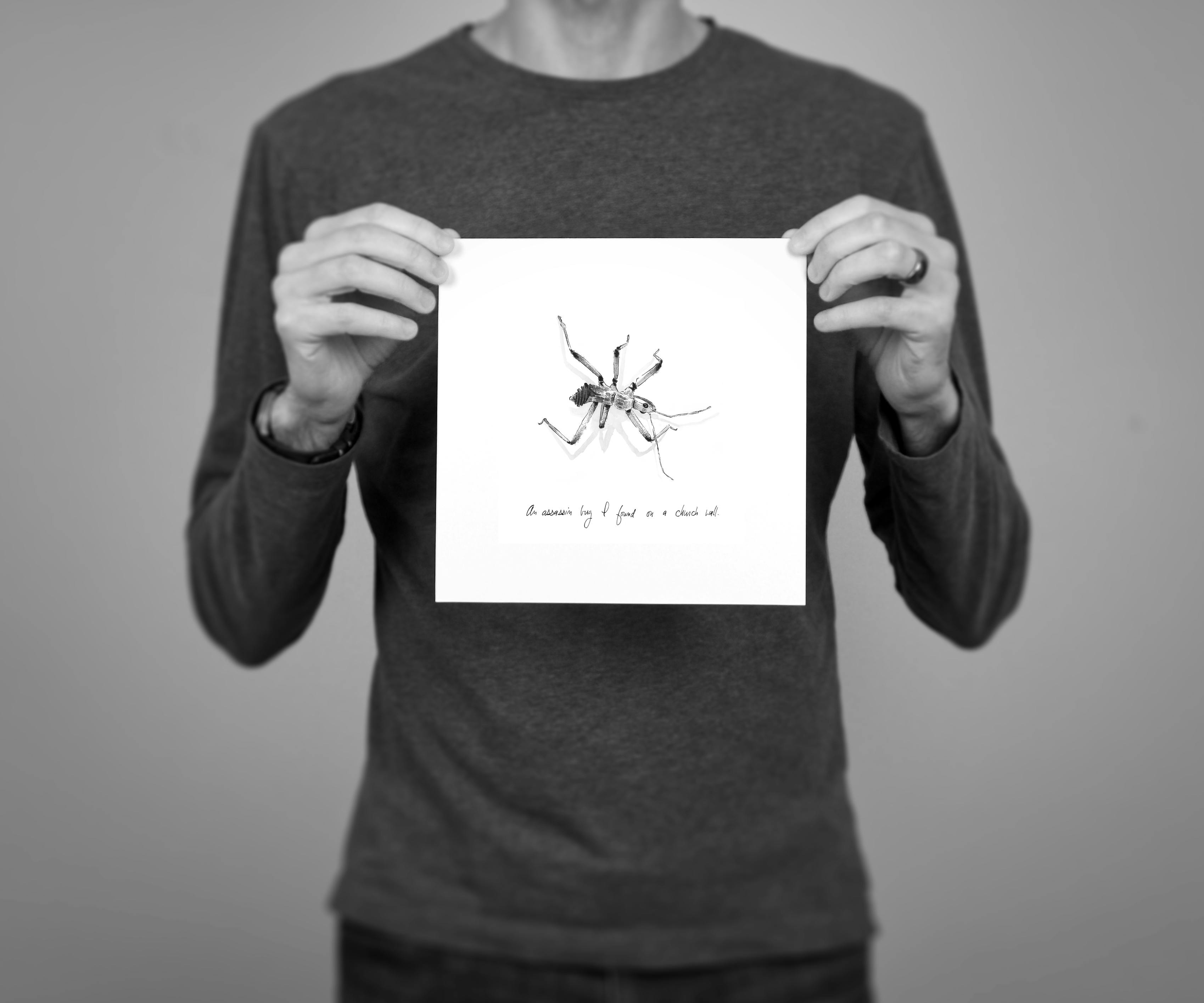 Assassin bug: 6 x 6” giclee print edition
