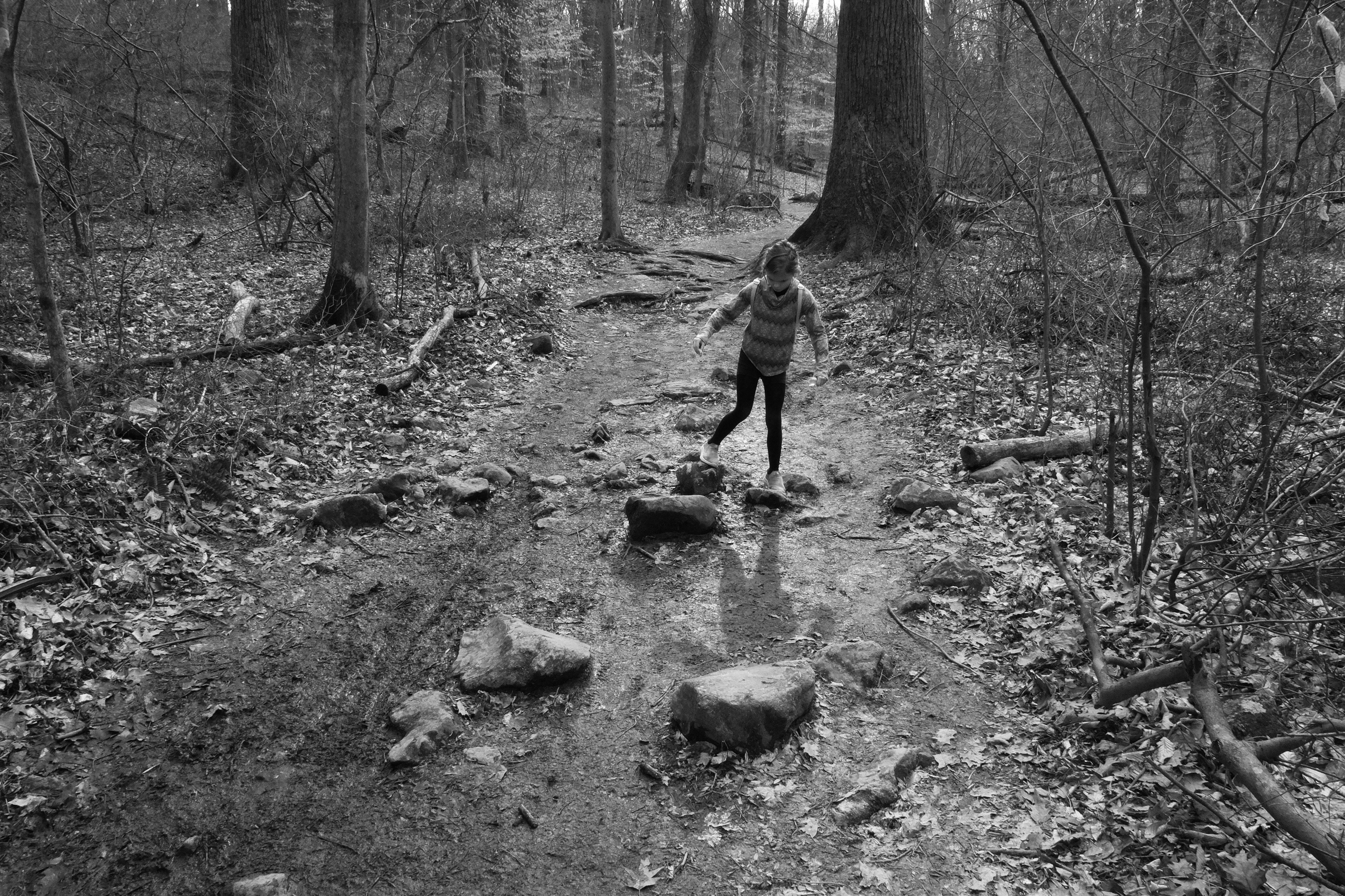 My daughter makes her way down the trail. She's stepping over some rocks and much in the middle of the trail, with forest on either side.