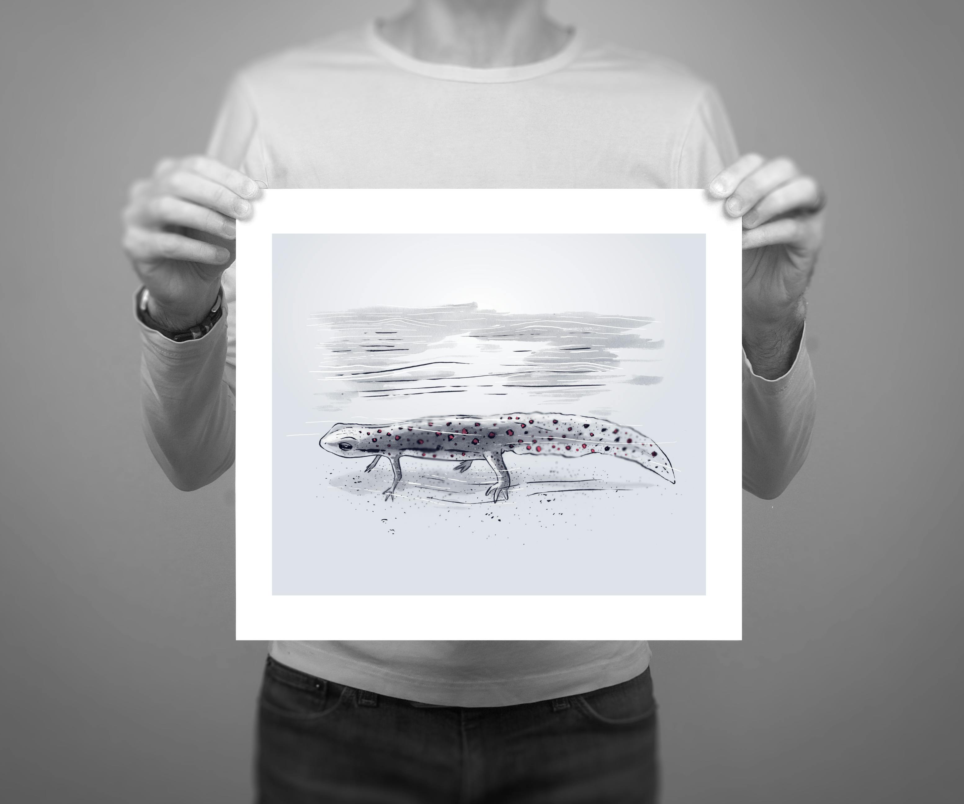 10 x 8” giclee edition of “Newt” from the Patapsco illustration series