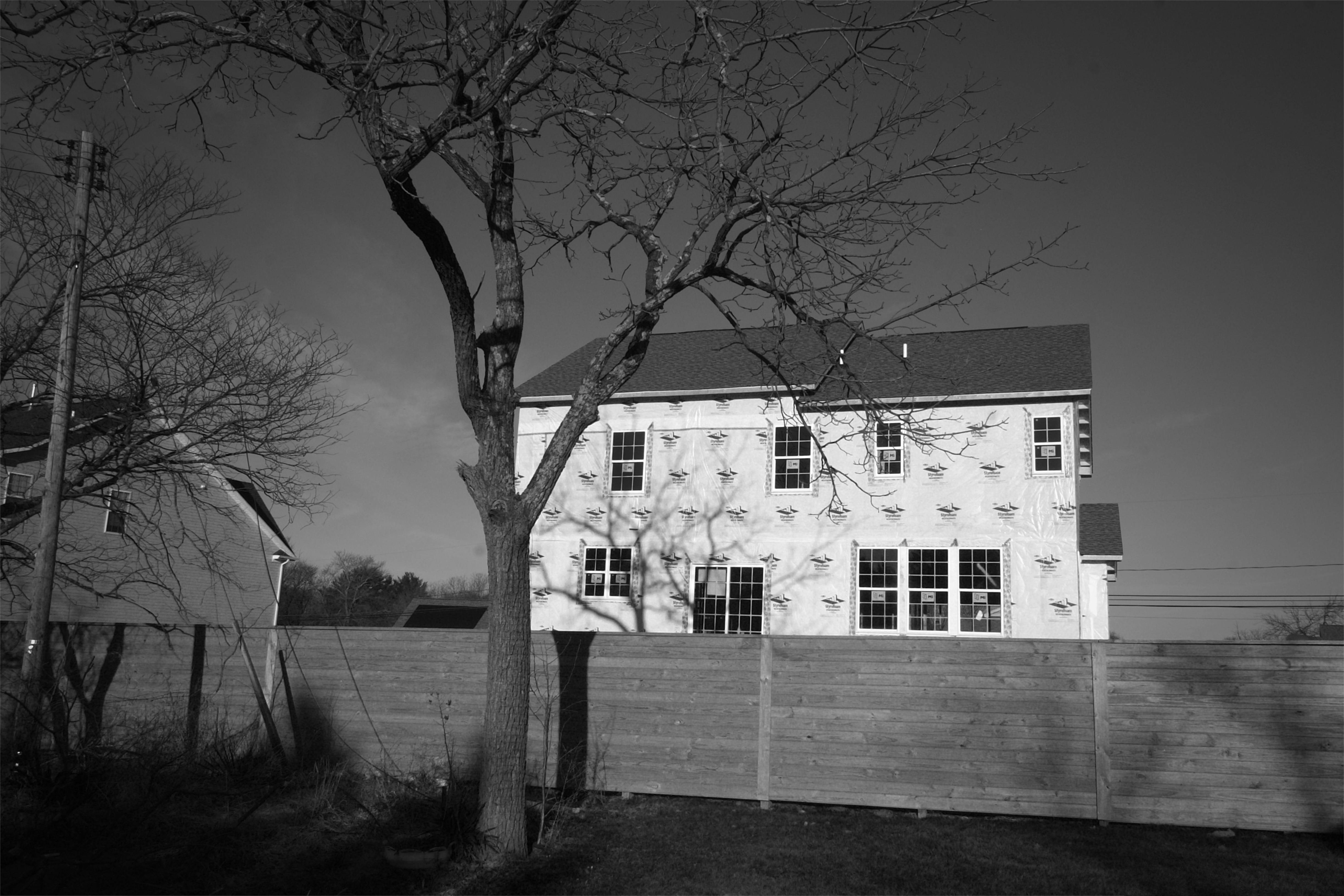 Black and white photo of a house under construction (wrapped in Tyvek) behind a tree and wooden fence. The tree casts a dark shadow against the fence and house.